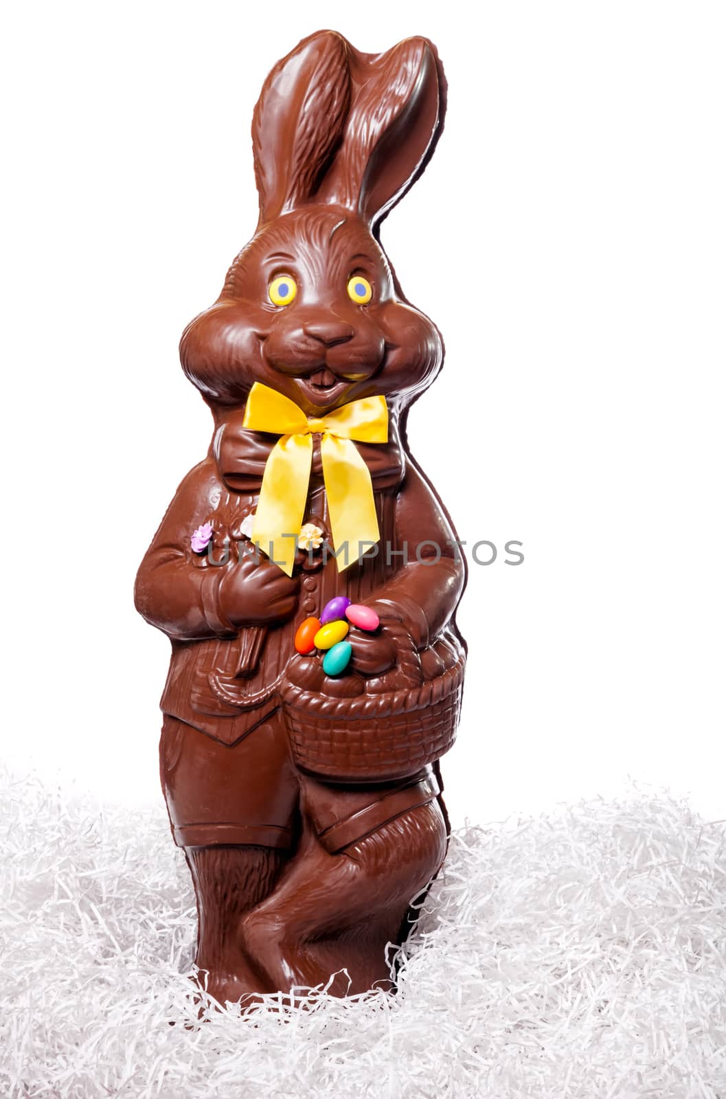 Tall Chocolate Bunny Isolate on White Background