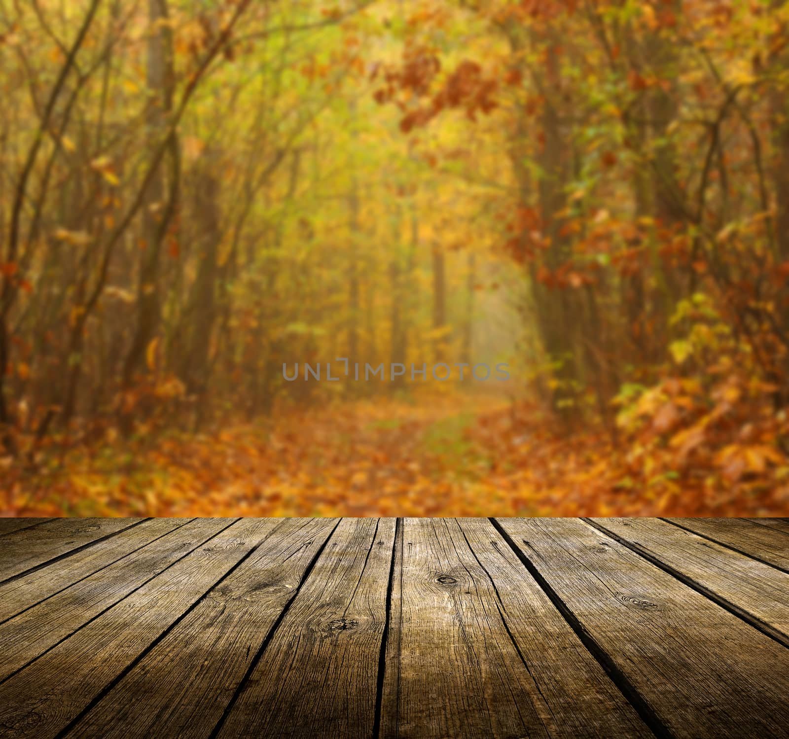 Empty wooden deck table with autumn background. Ready for product display montage.