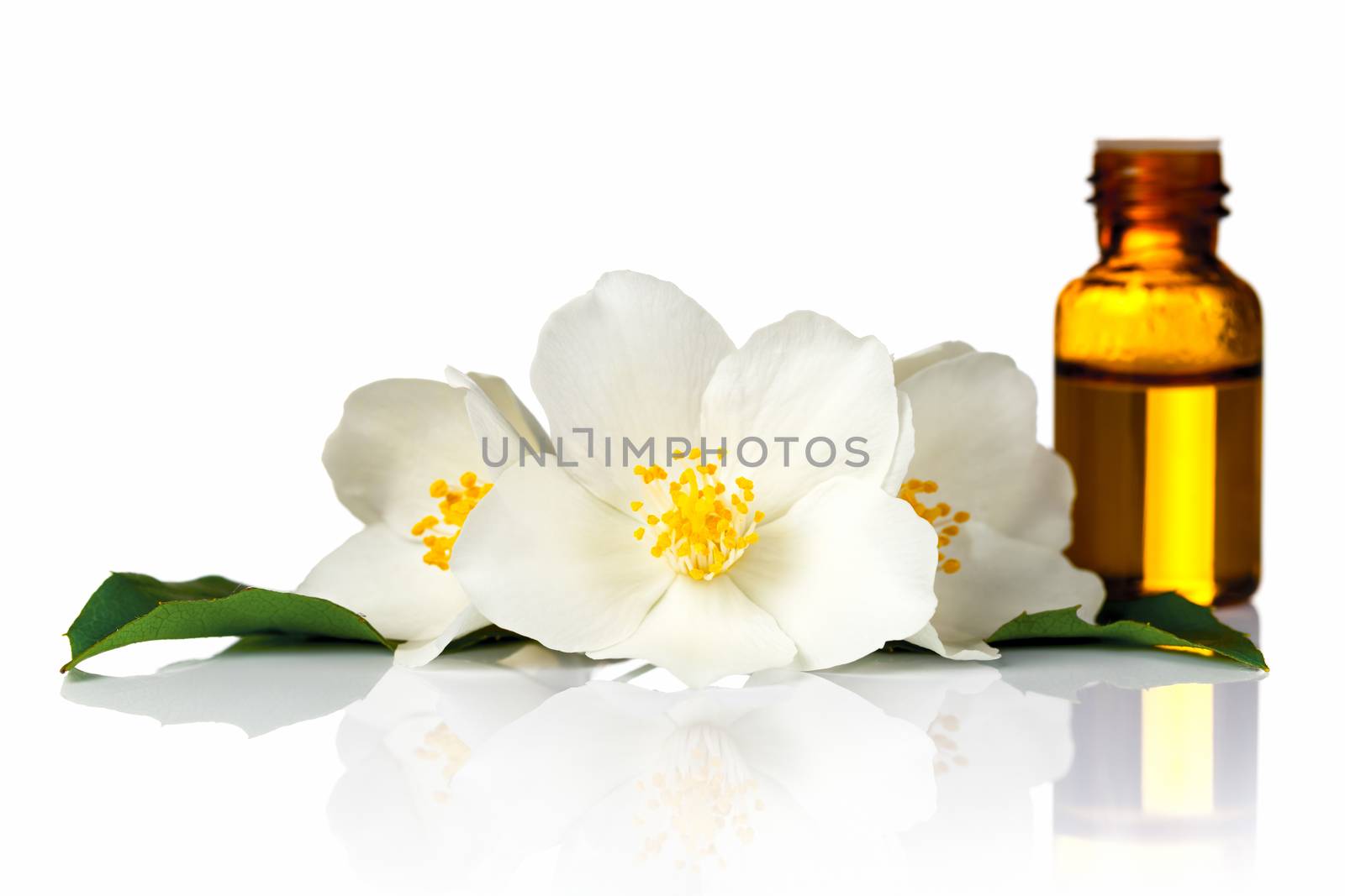 Jasmine flowers with essential oil on white background
