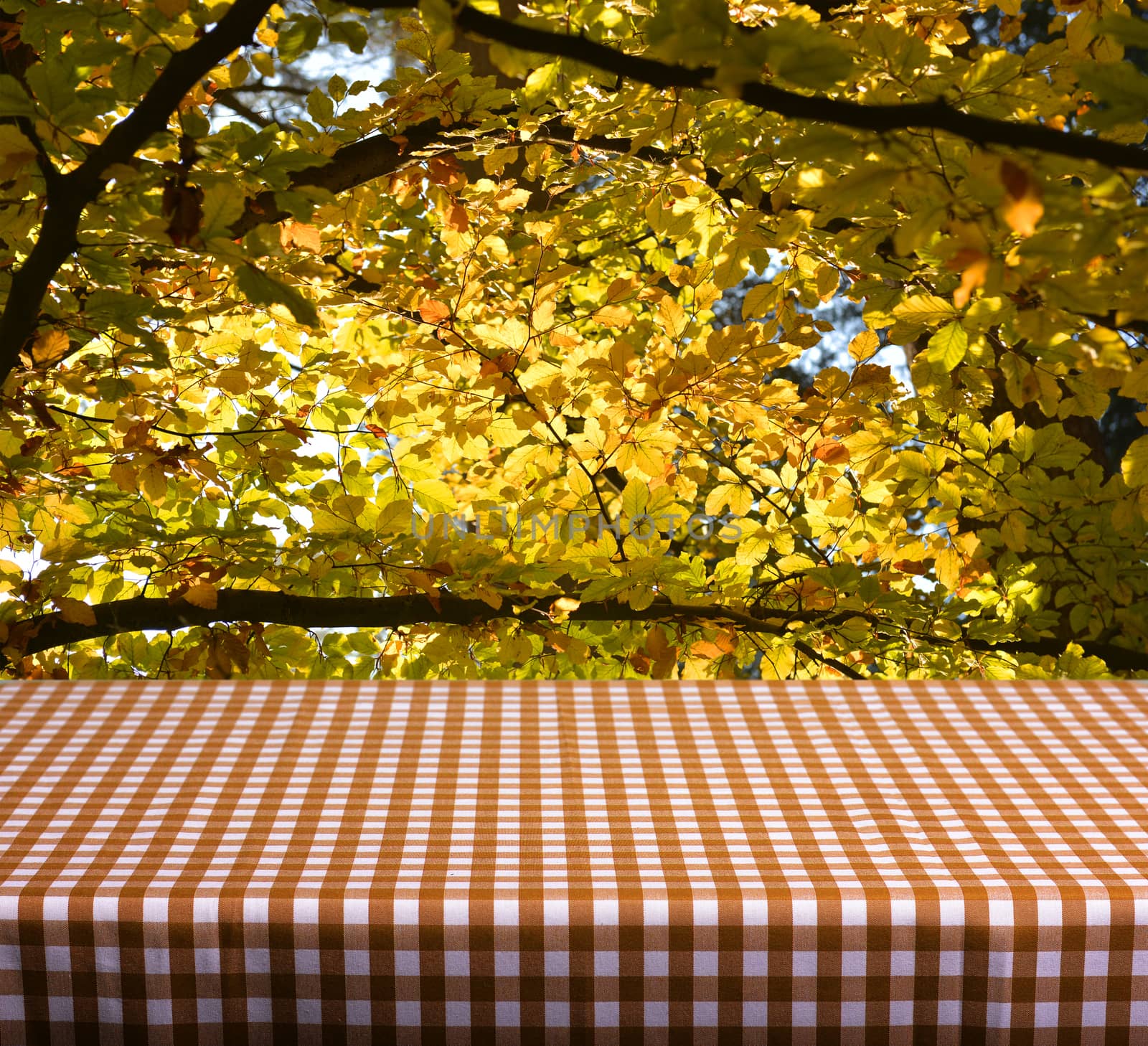 Empty table with orange gingham tablecloth over autumn leaves background. Great for product display montages