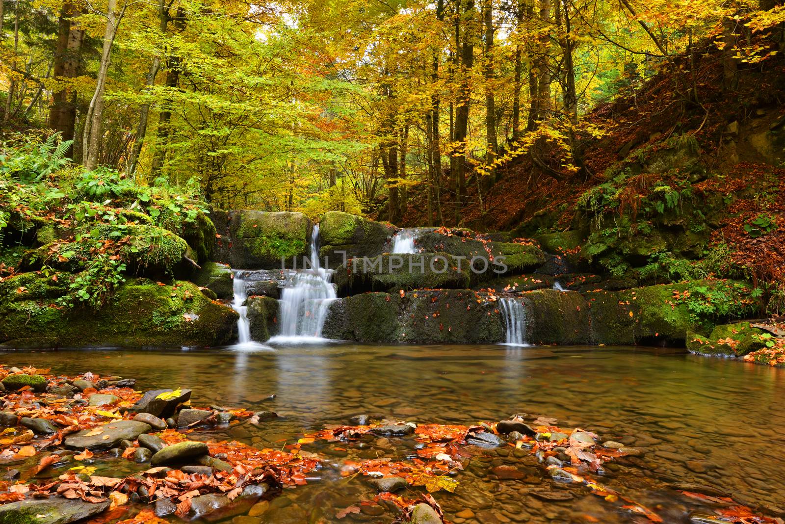 Beautiful autumn forest with waterfall