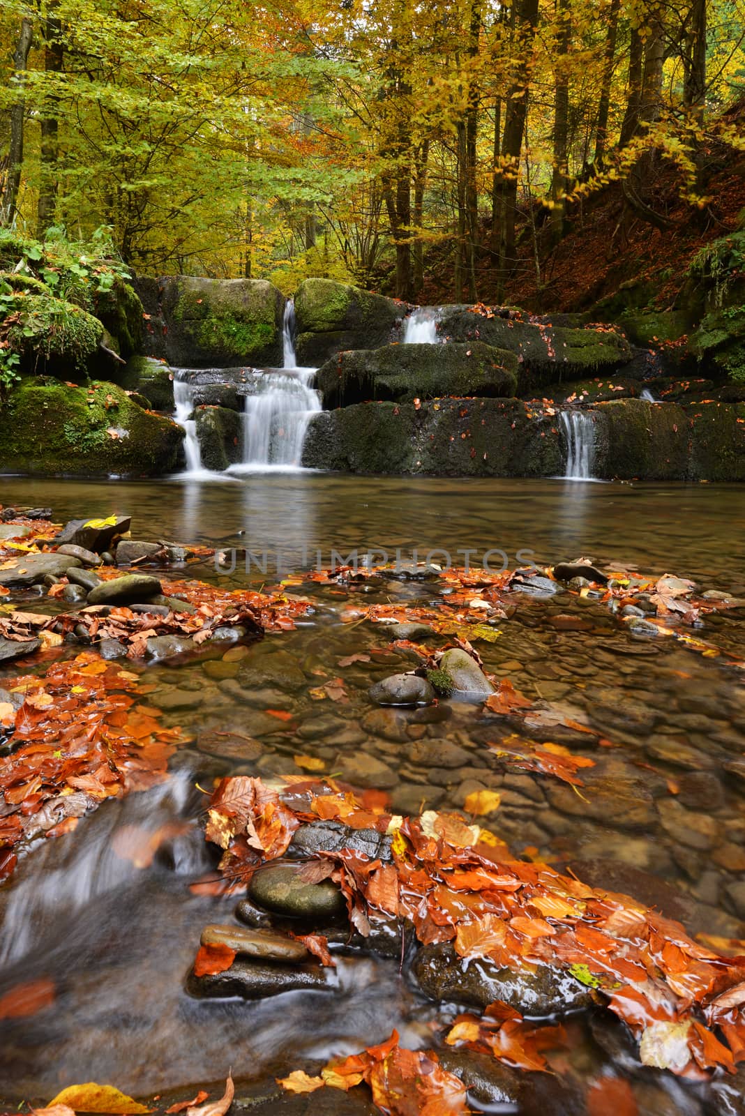 Autumn landscape with river and beautiful foliage - Bieszczadzki National Park in Poland
