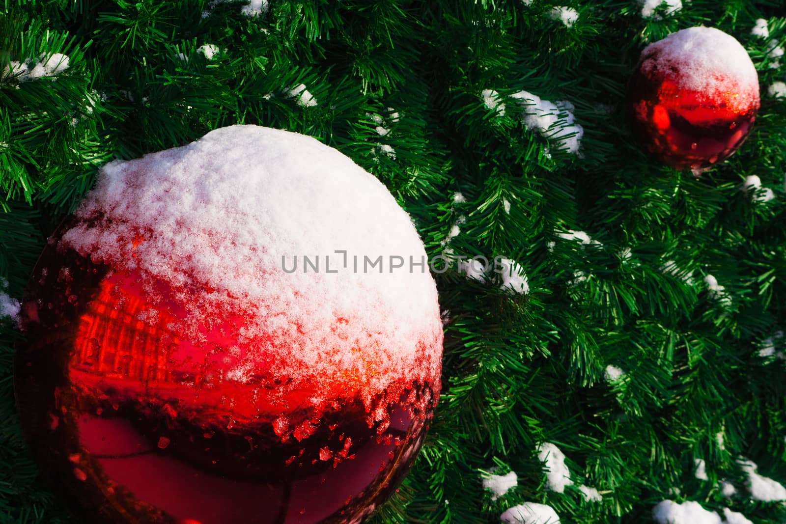 red ball on the Christmas tree