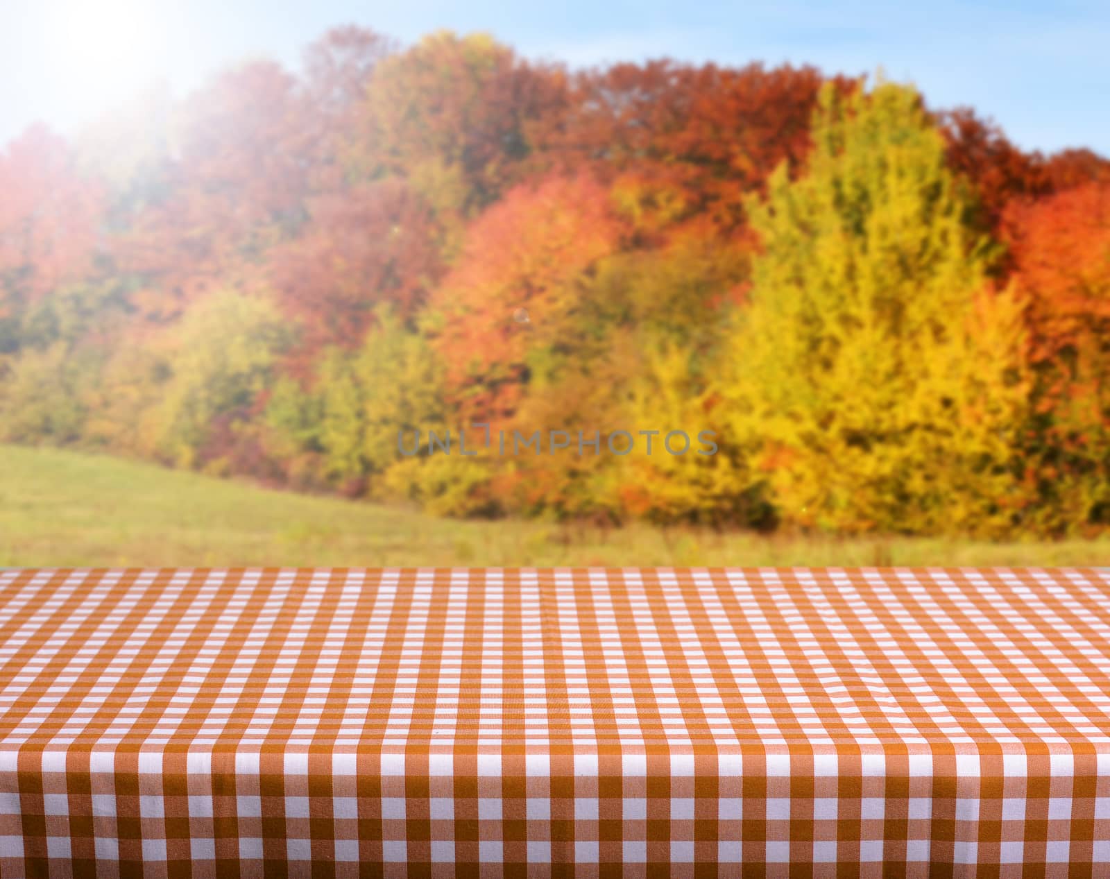 Empty wooden deck table with autumn background. Ready for product display montage.