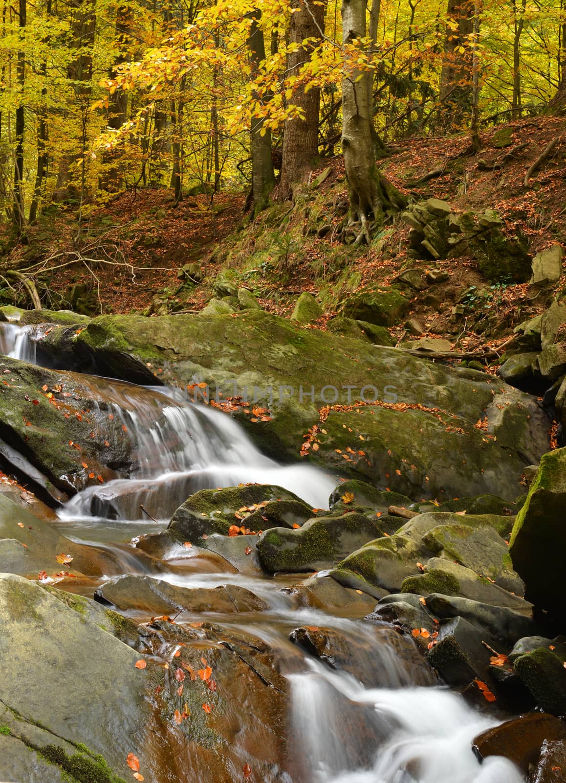 Autumn landscape with river and beautiful foliage - Bieszczadzki National Park in Poland