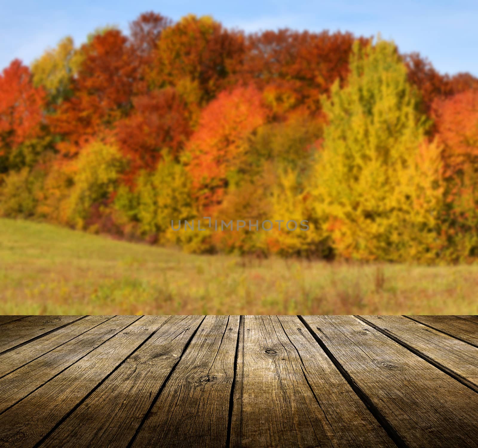 Empty wooden deck table with autumn background. Ready for product display montage.