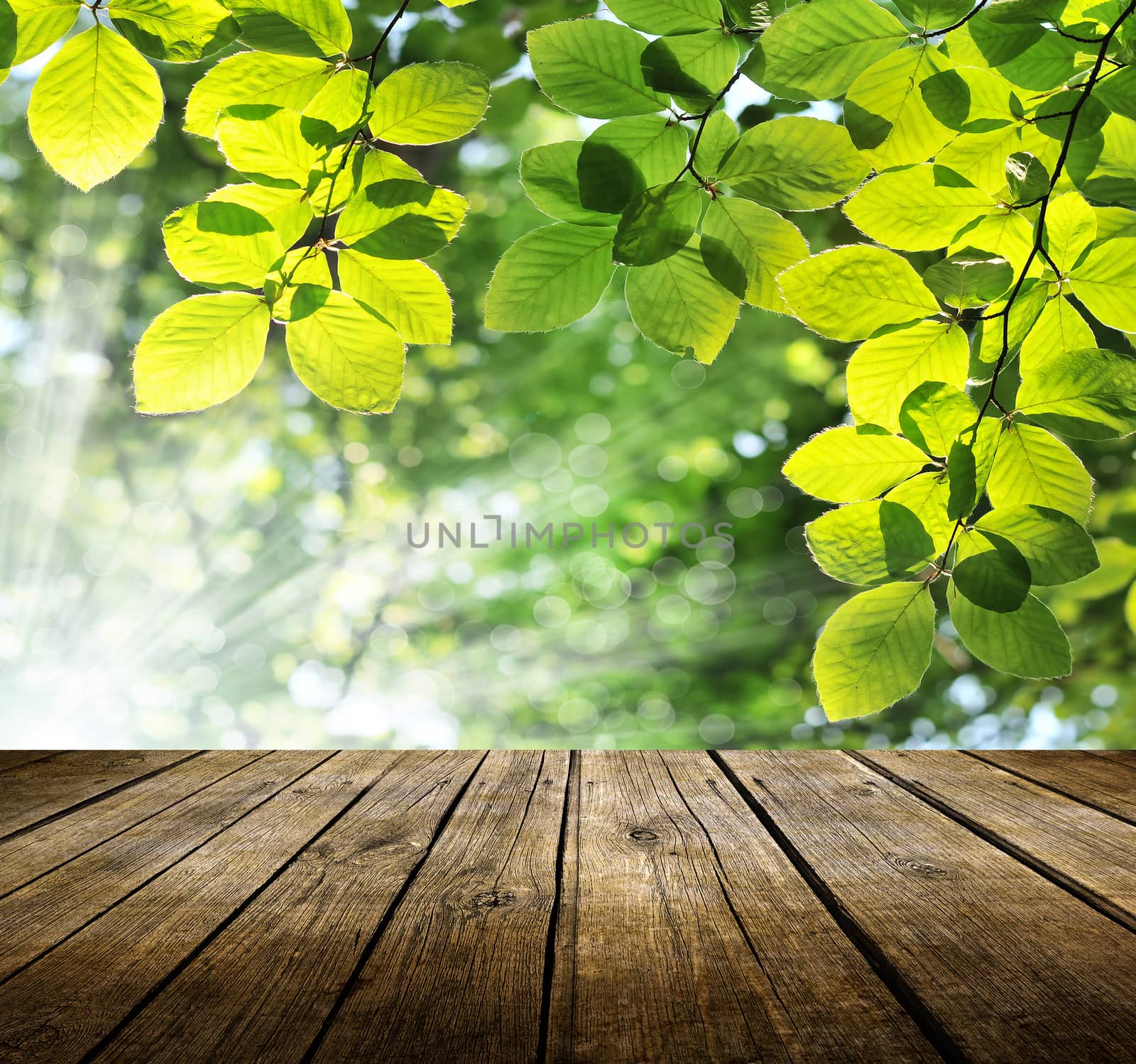 Empty wooden deck table with spring background. Ready for product display montage.