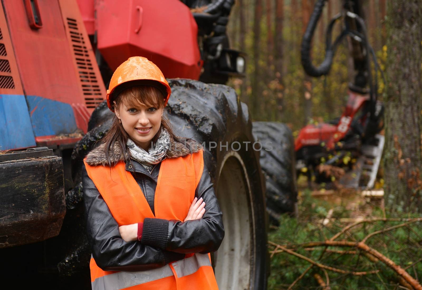 Young and beautiful forestry engineer at work