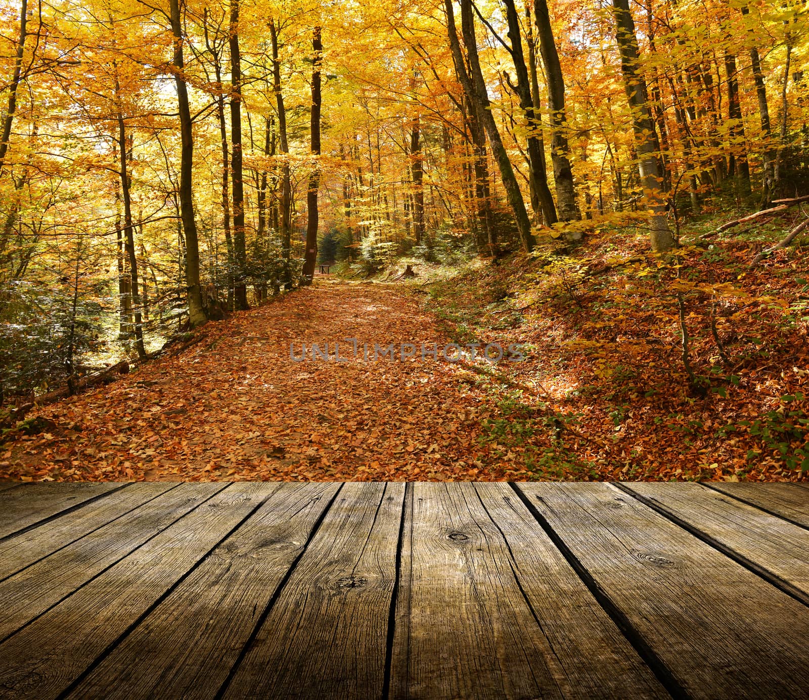 Empty wooden deck table with autumn background. Ready for product display montage. 