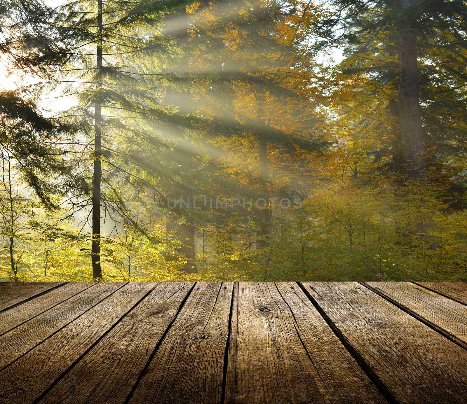 Empty wooden deck table with autumn forest background. Ready for product display montage. 