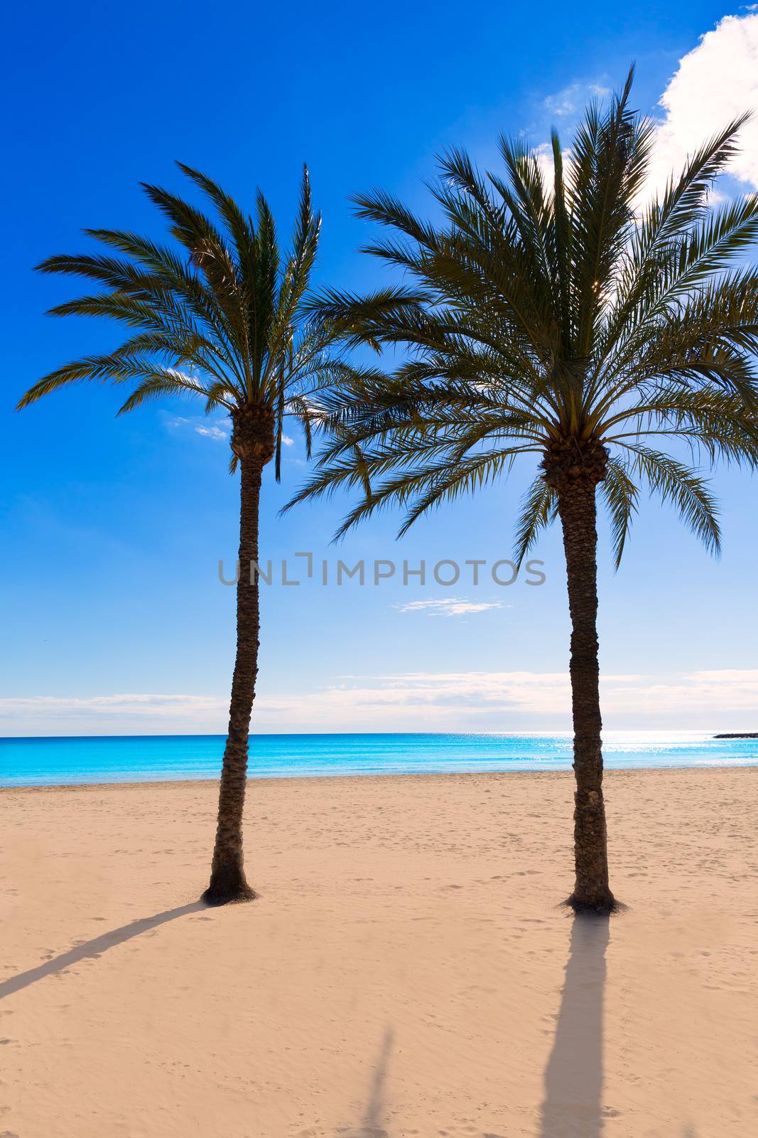 Alicante Postiguet beach at Mediterranean Spain by lunamarina