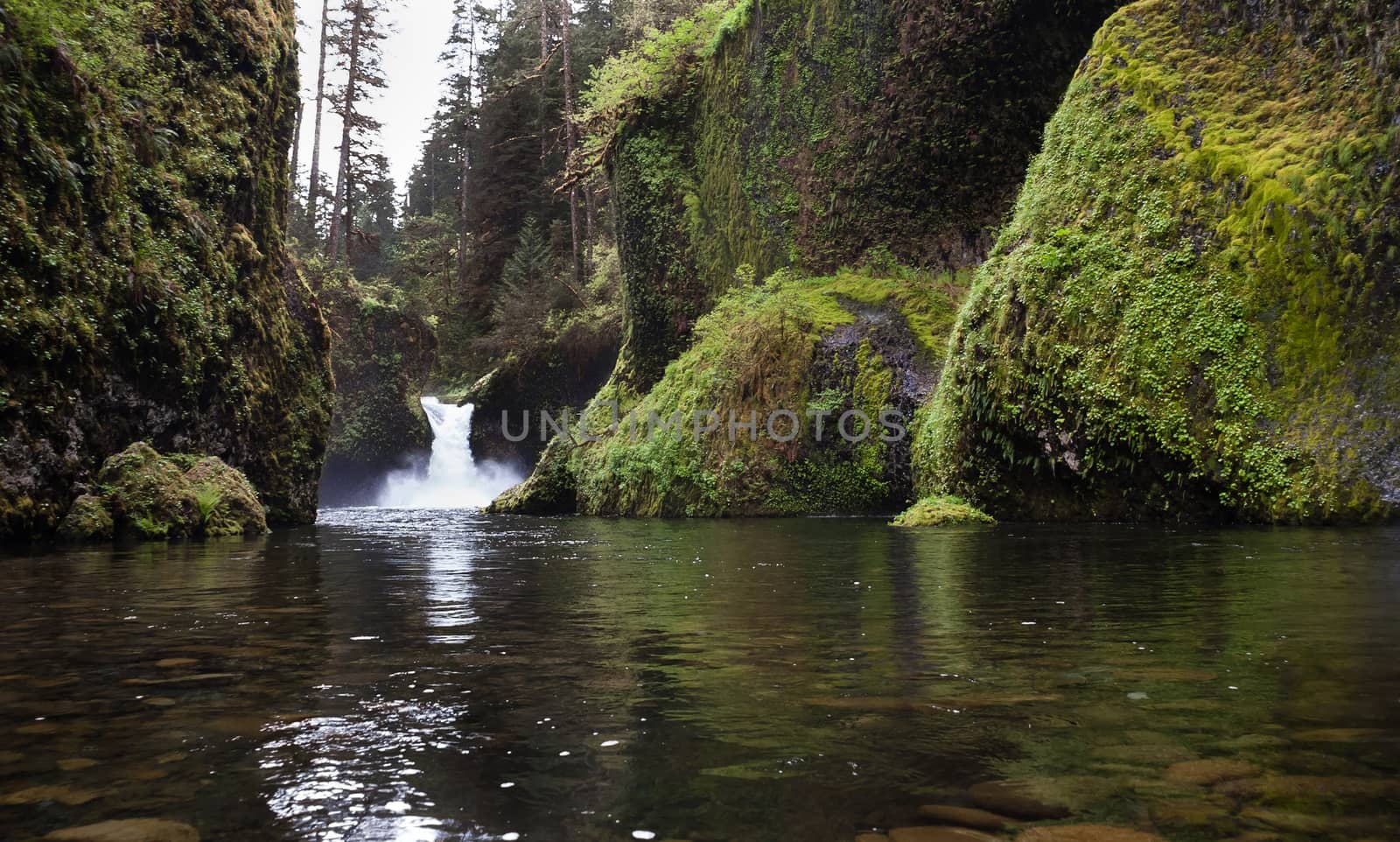 Standing in Water Punch Bowl Falls Columbia River Gorge by ChrisBoswell