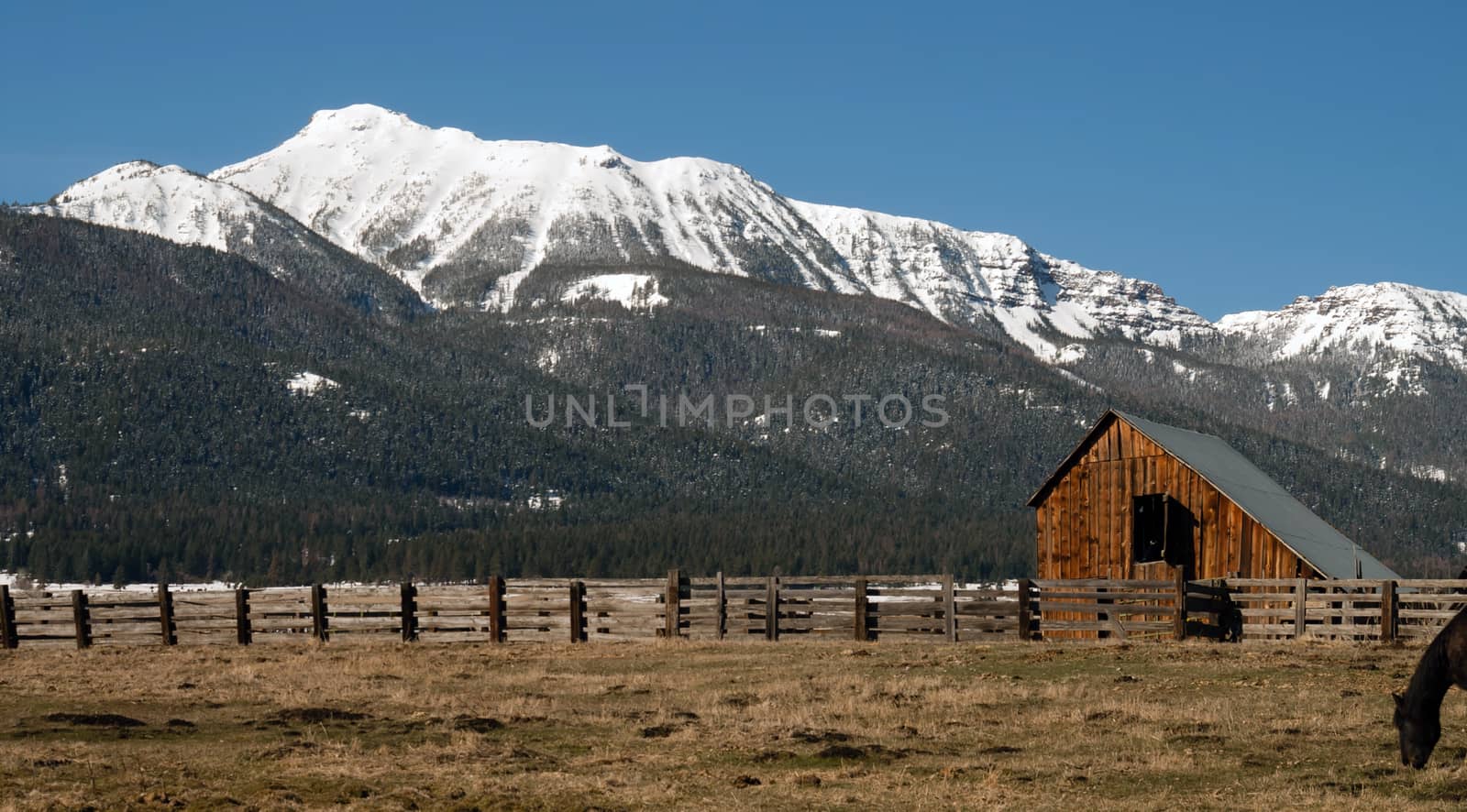 Horse grazes off camera right in Winter Ranch Landscape