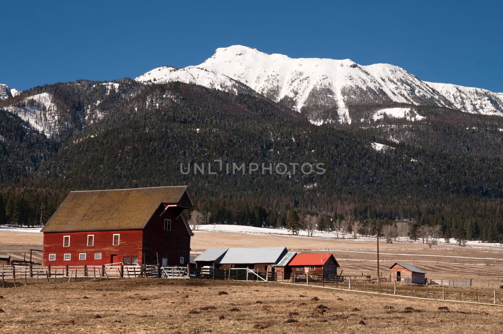 A ranch farm homestead looks cold and bright during winter frost