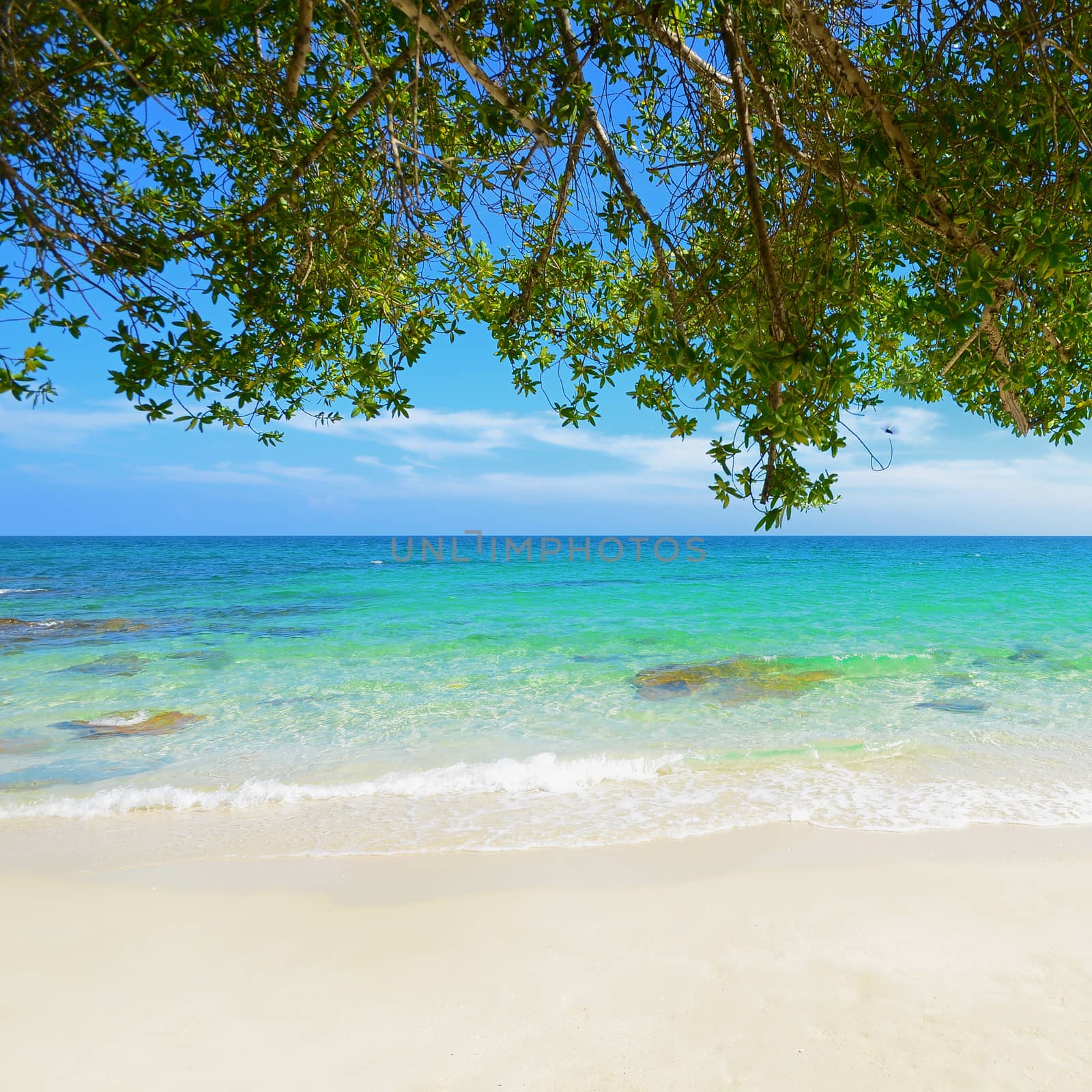Tropical beach and sea in koh samed island Thailand  by opasstudio