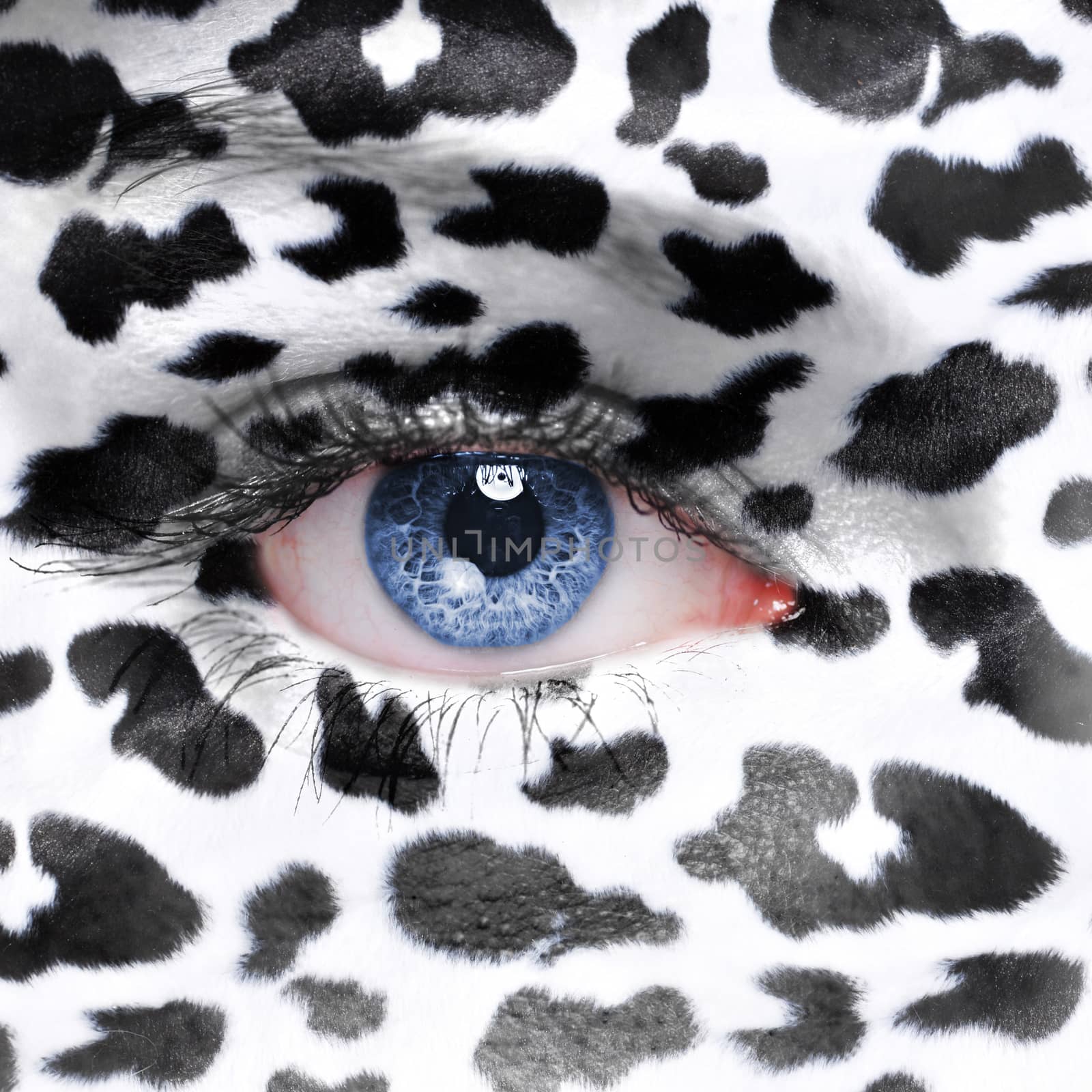 Cow pattern on human face