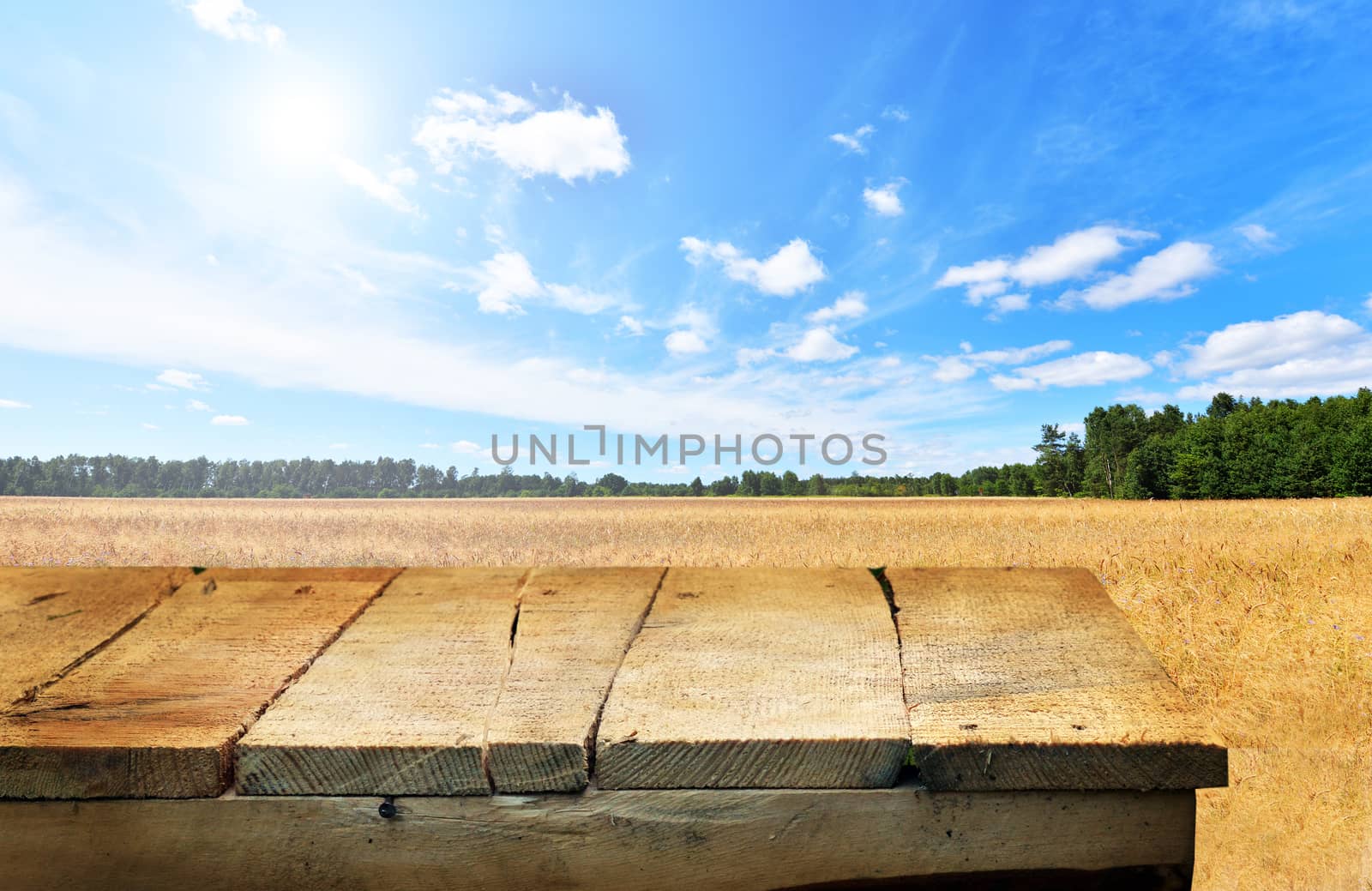 empty wooden table and summer field in background. Great for product display montages.