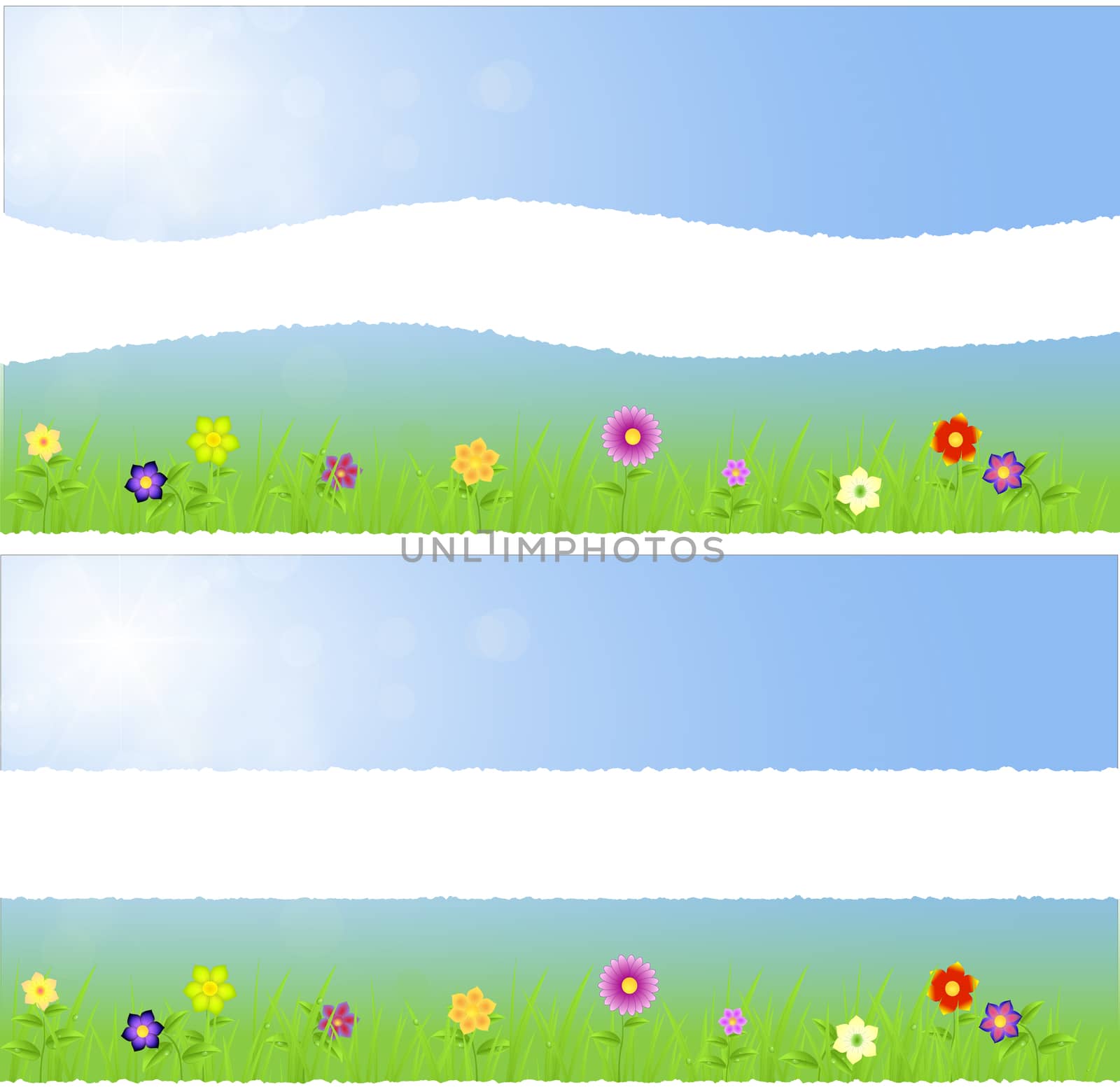 Torn paper middle spring landscape with flowers,grass,raindrops on a blue sunny background with ray of lights