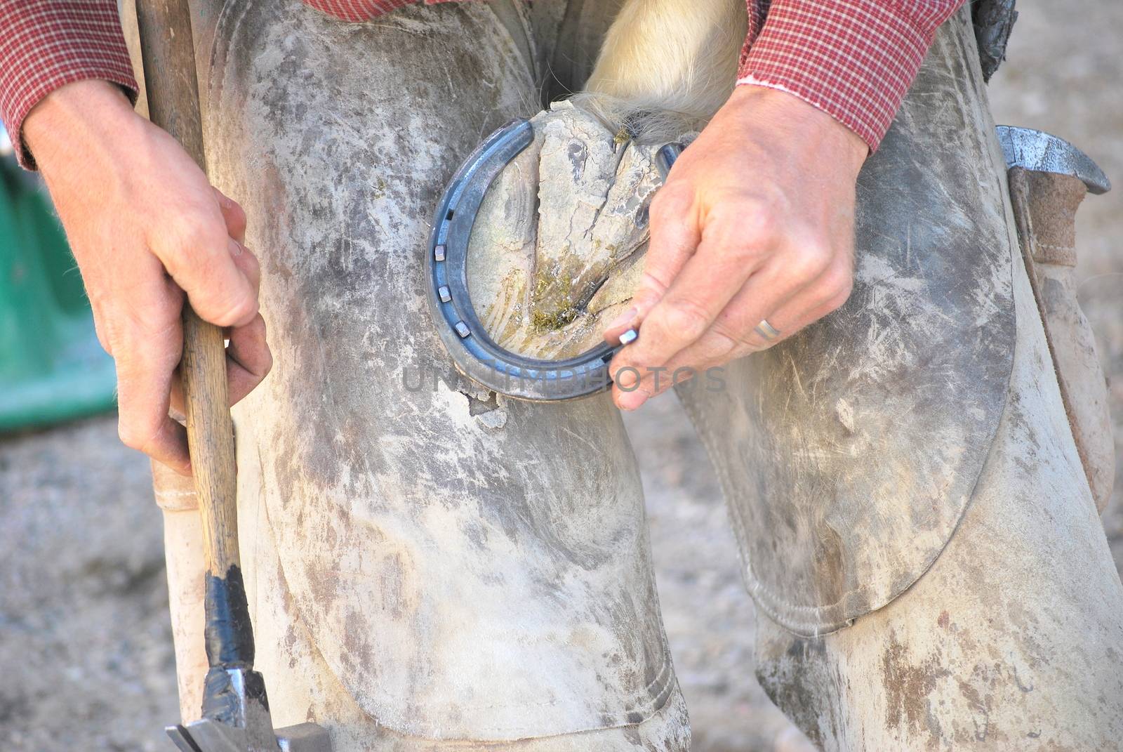 Male farrier working on a horseshoe outside.
