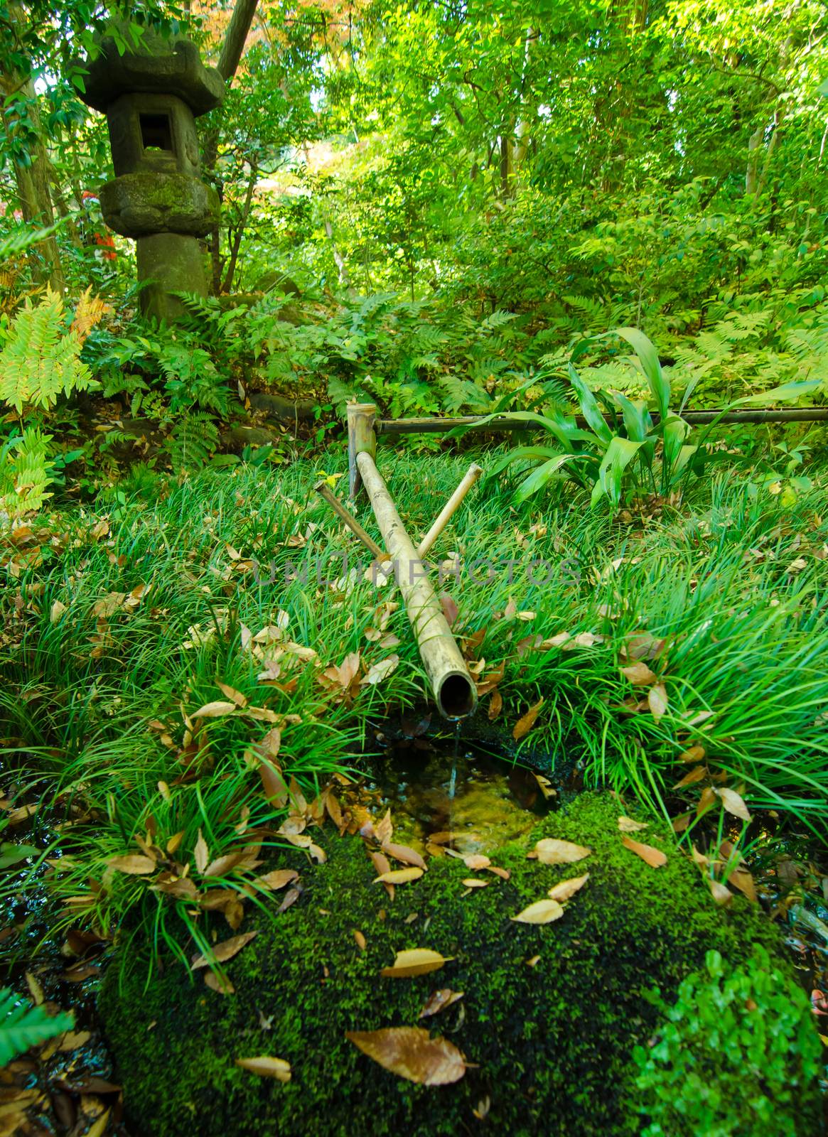 Bamboo fountain in japanese garden by siraanamwong