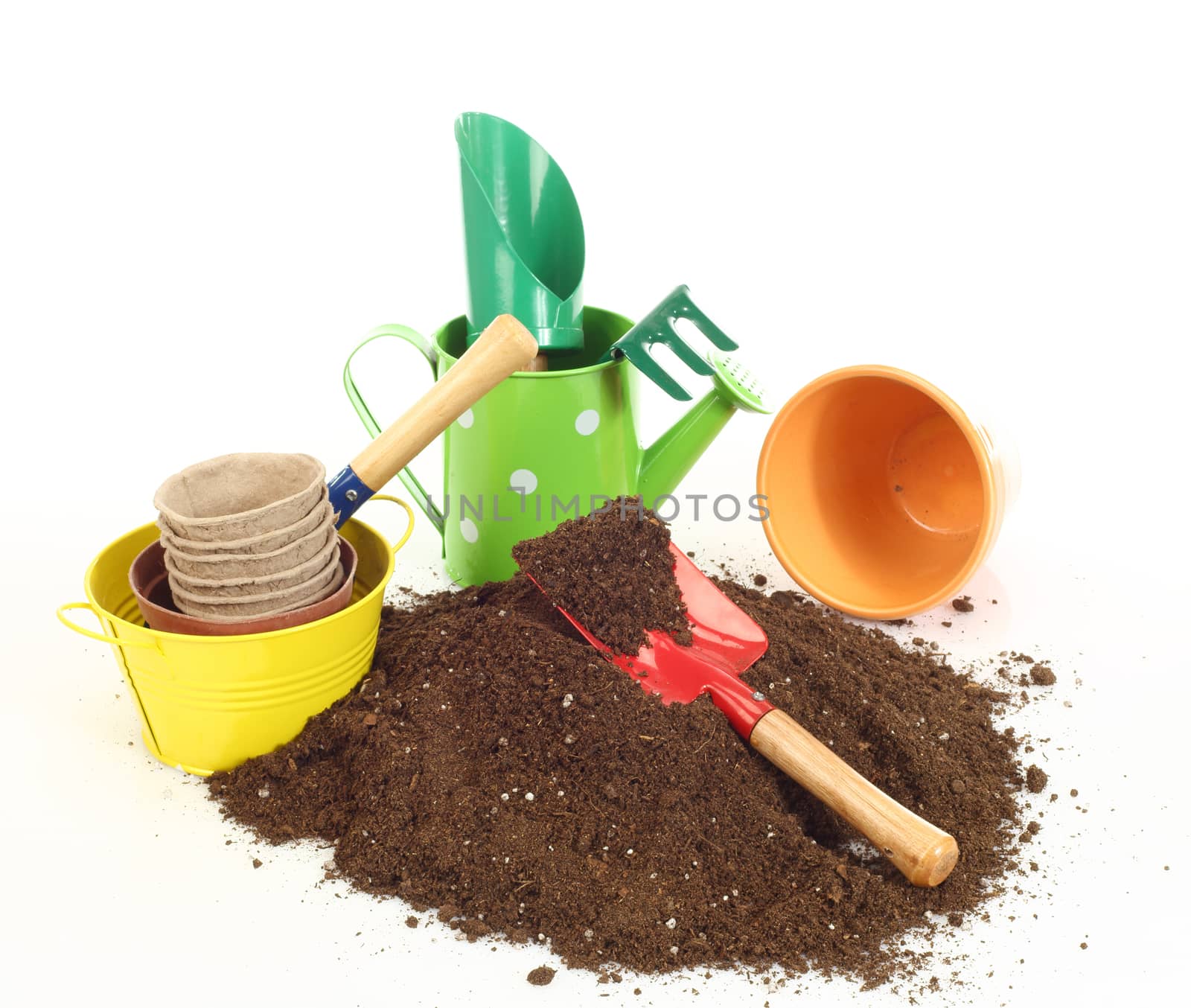 home gardening tools and grass close up