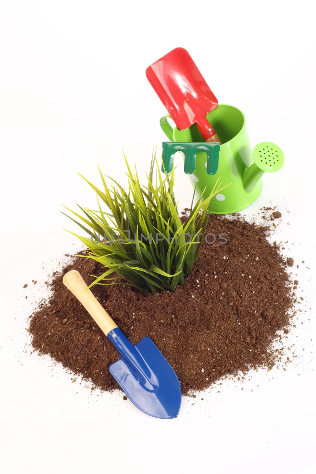 home gardening tools and grass close up