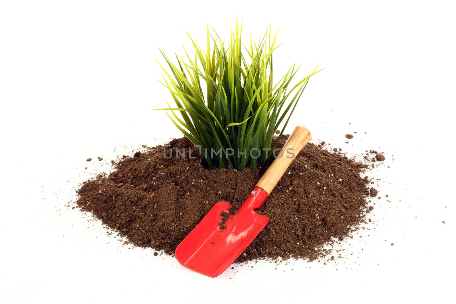 home gardening tools and grass close up