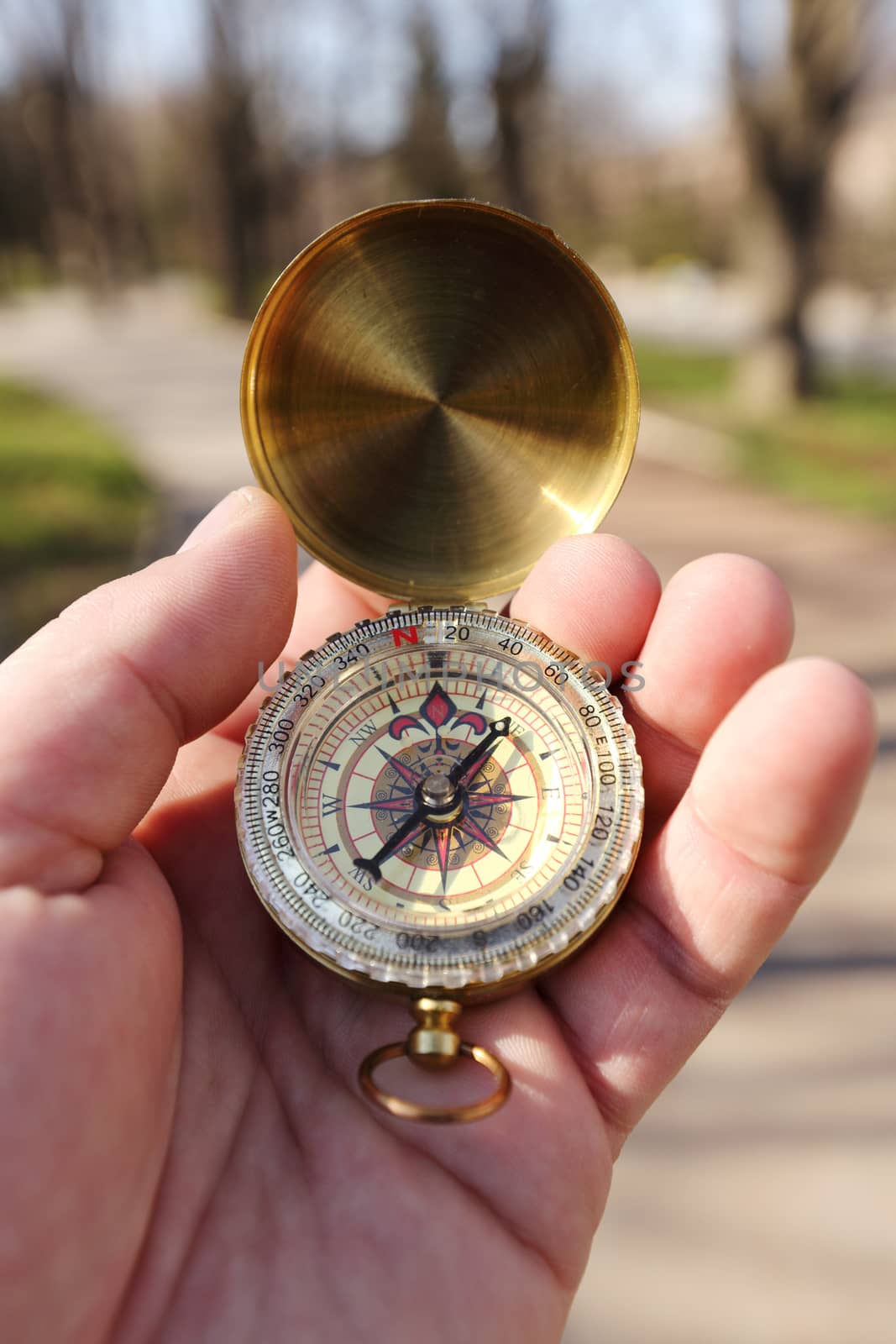 male hand holding compass in the forest