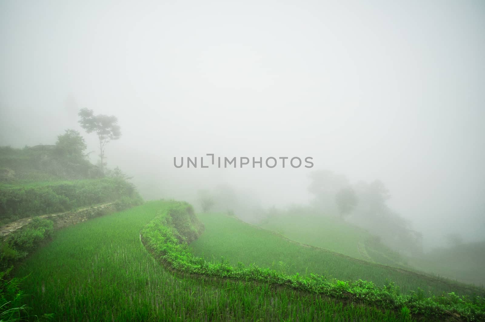 South China, Yunnan - 2011: Rice terraces in highlands of southeastern China, farmhouses, ethnic village. Rice terraces rice paddies Asia, peasant village in mountains China.