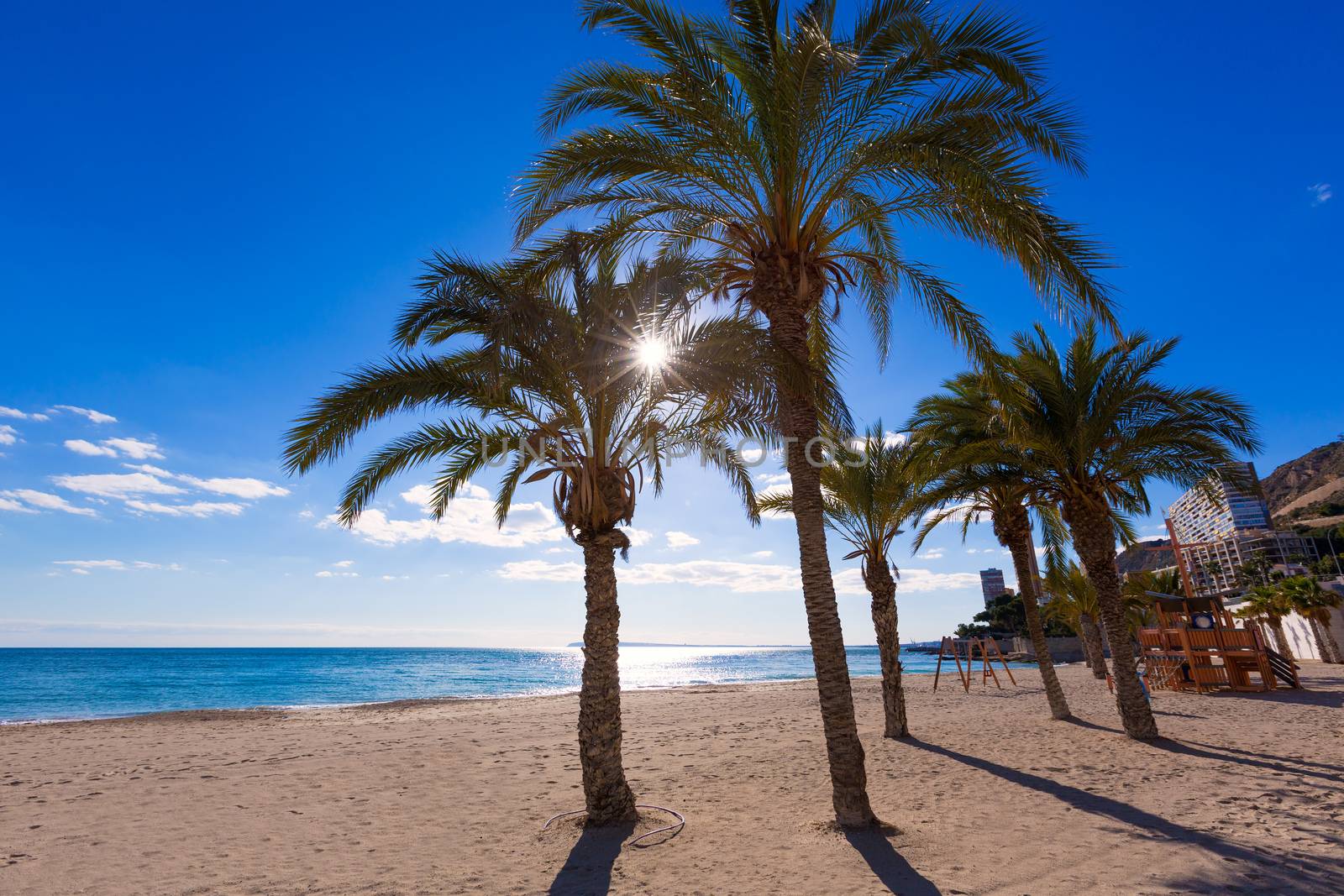 Alicante San Juan beach of La Albufereta with palms trees in Mediterranean Spain