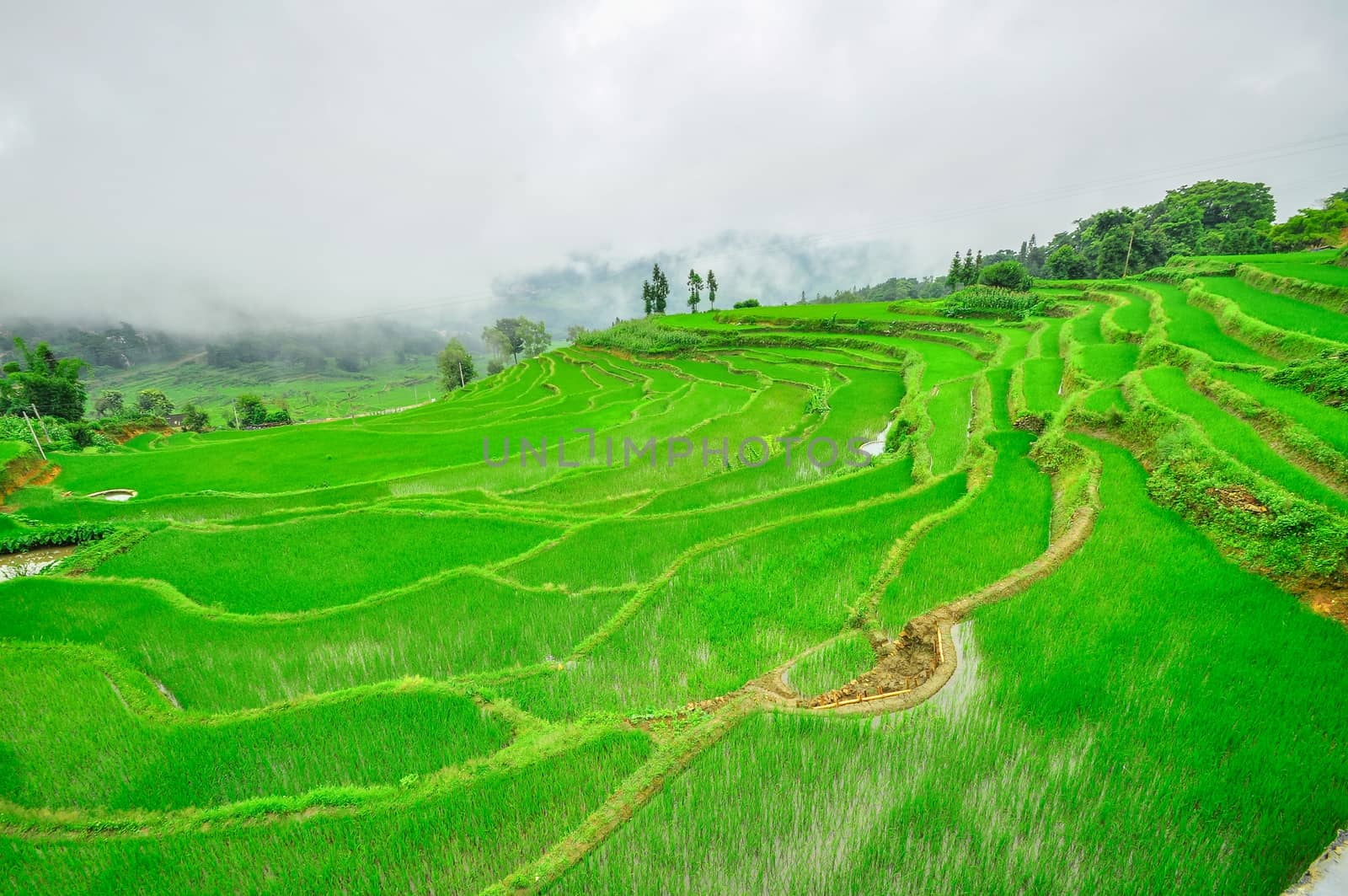 South China, Yunnan - 2011: Rice terraces in highlands of southeastern China, farmhouses, ethnic village. Rice terraces rice paddies Asia, peasant village in mountains China.