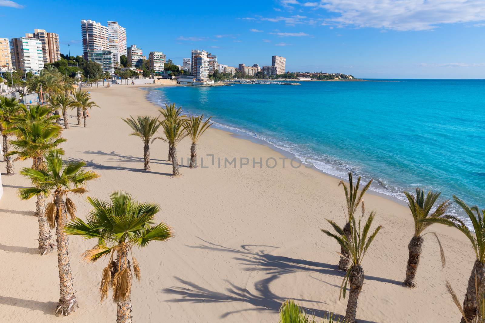 Alicante San Juan beach of La Albufereta with palms trees by lunamarina