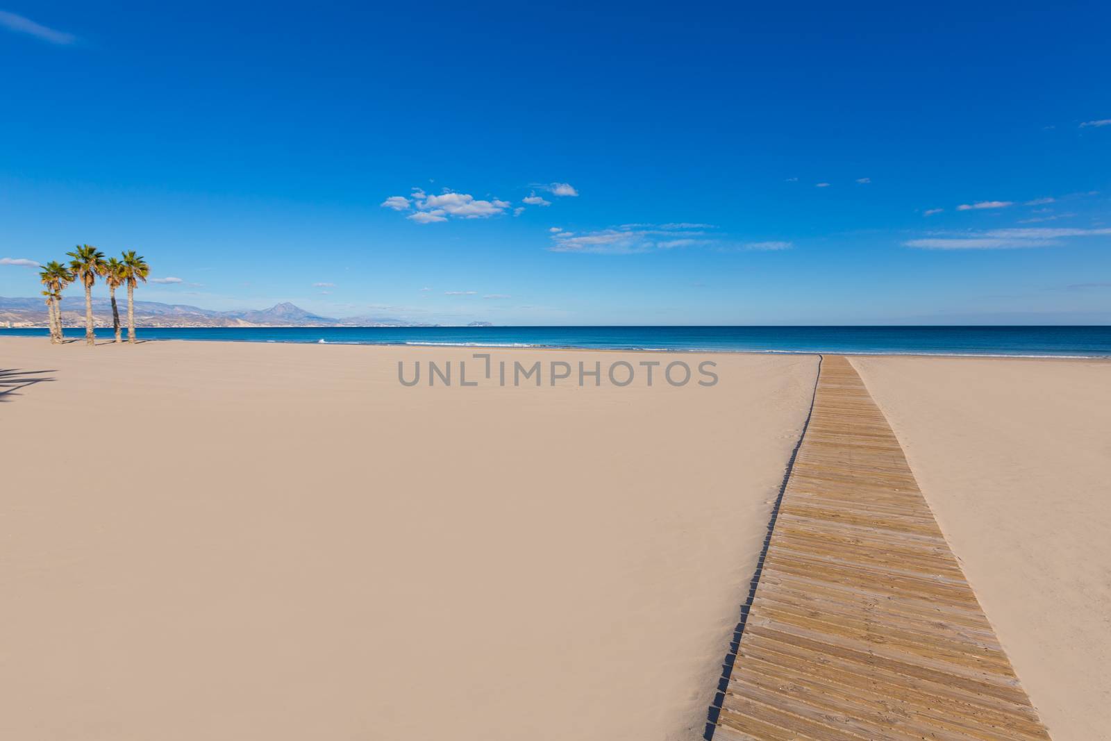 Alicante San Juan beach with palms trees of Mediterranean sea at Spain valencian Community