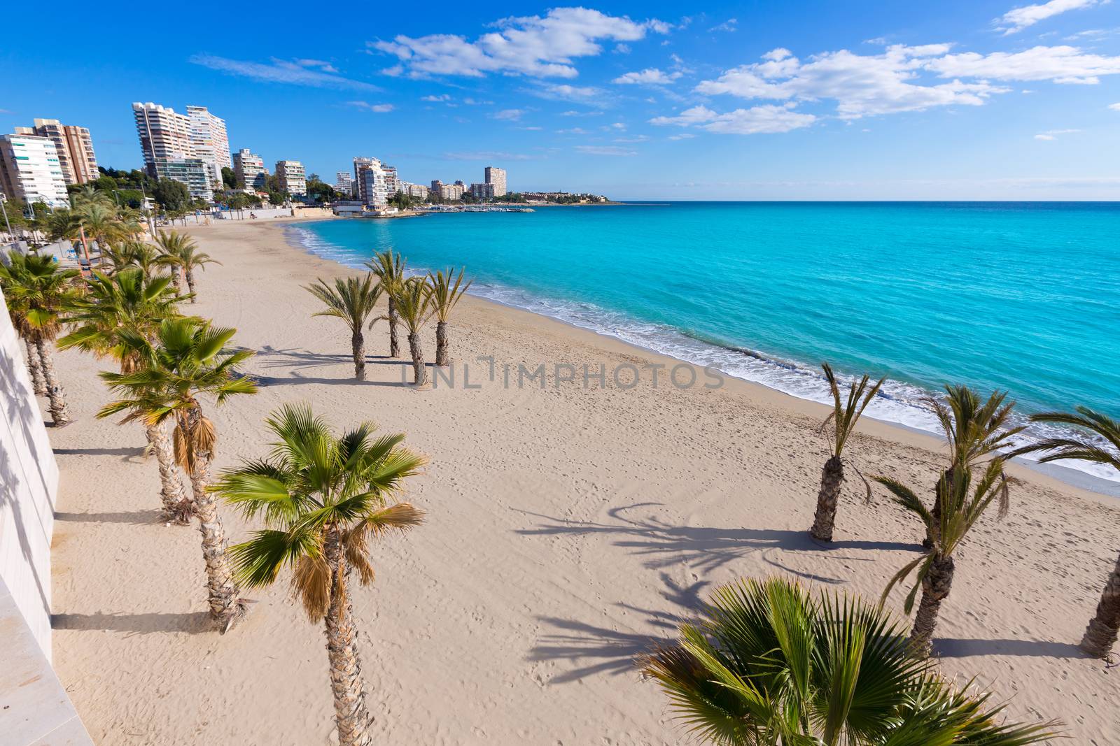 Alicante San Juan beach of La Albufereta with palms trees in Mediterranean Spain