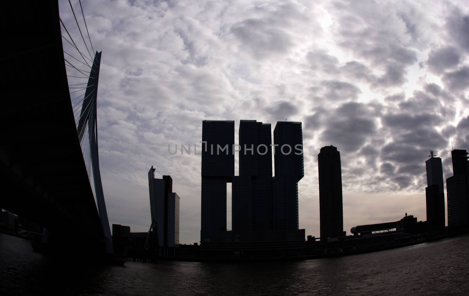 Het grootste gebouw van Nederland staat aan de Maas in Rotterdam