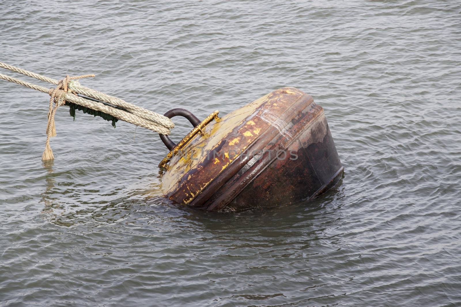 An anchor buoy in the port of Rotterdam