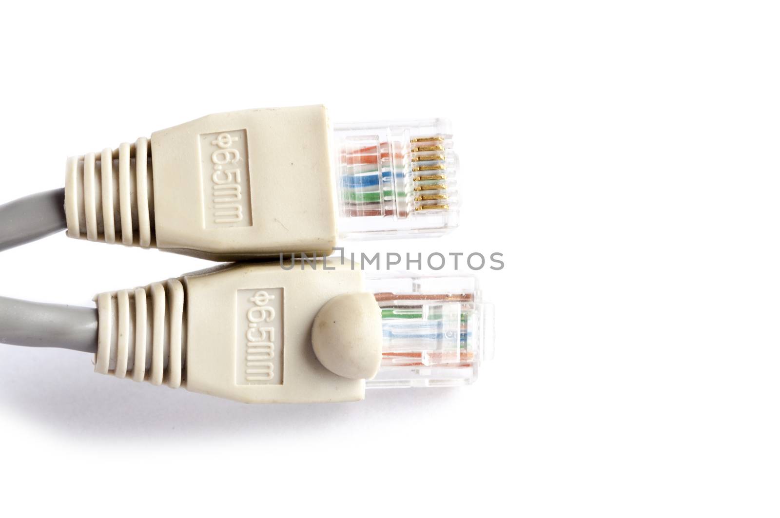 Network cable on white background whith space for text

