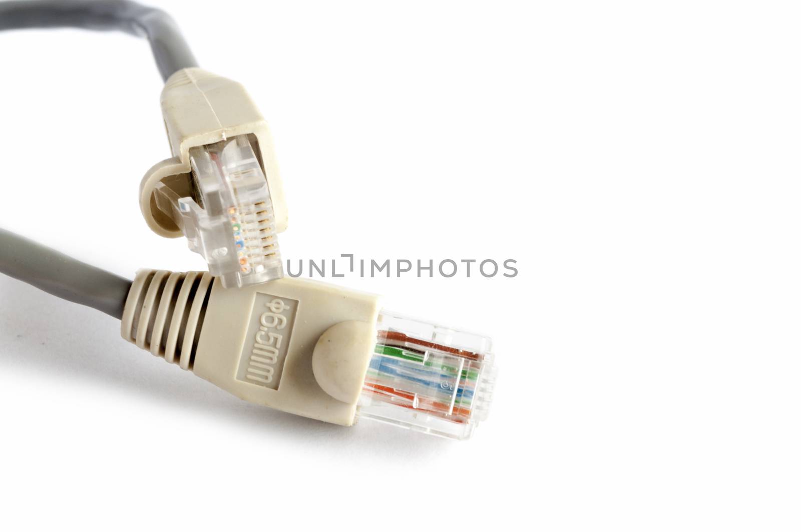 Network cable on white background whith space for text