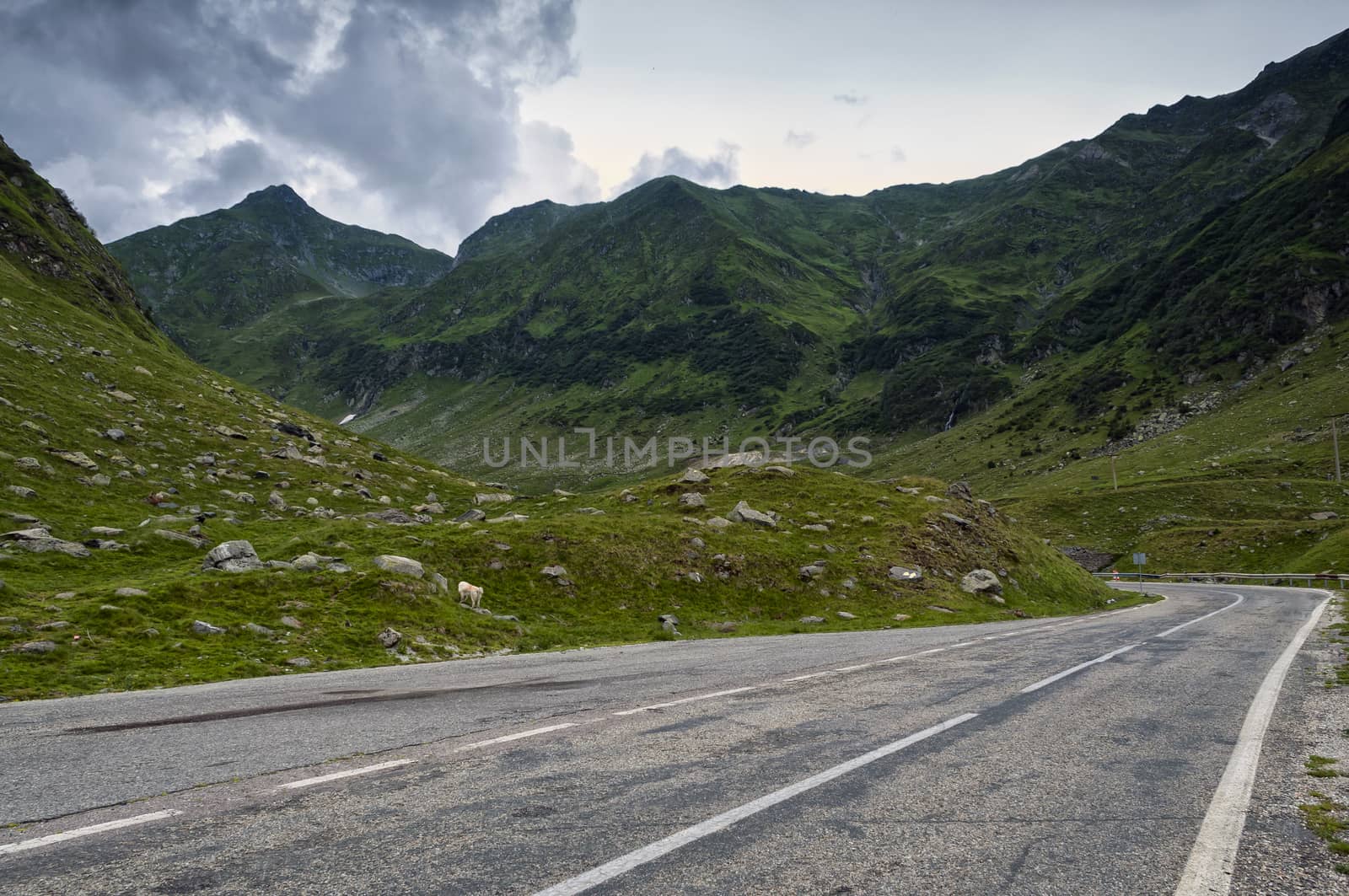 Grunge mountain road by maxmitzu