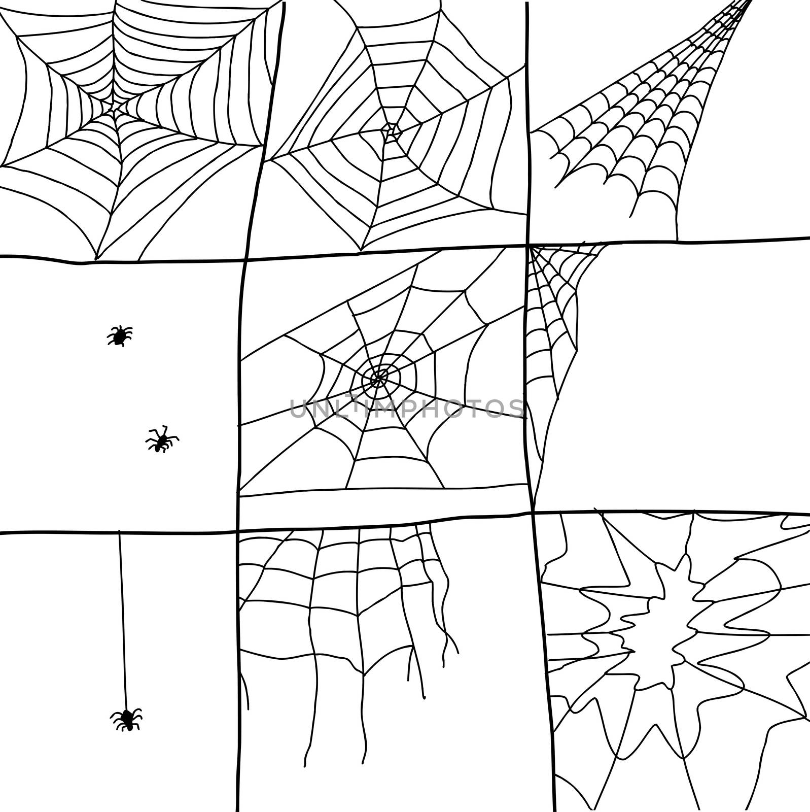 Hand Drawn Spider Webs by TheBlackRhino