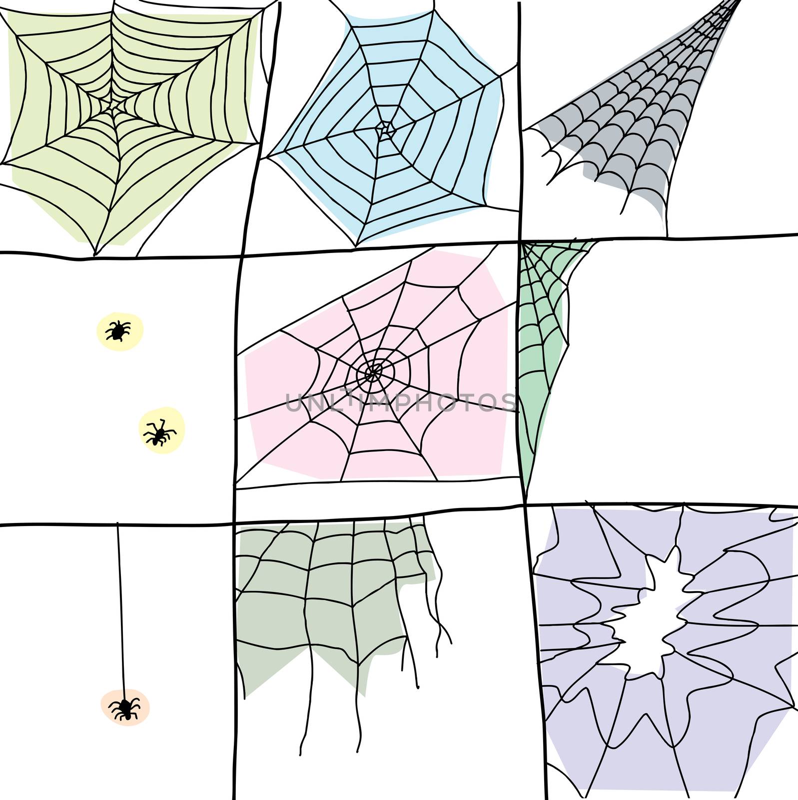 Cartoons of various spiders and webs on white background