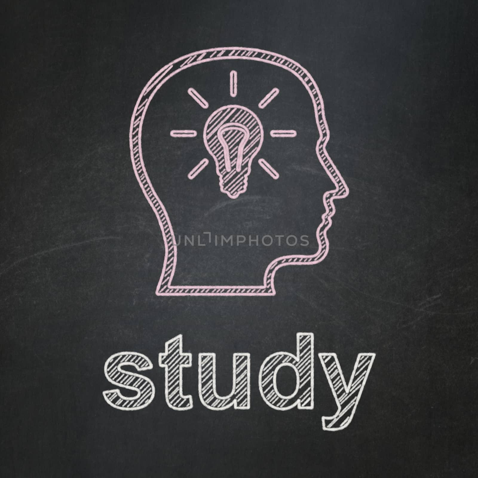Education concept: Head With Lightbulb icon and text Study on Black chalkboard background, 3d render