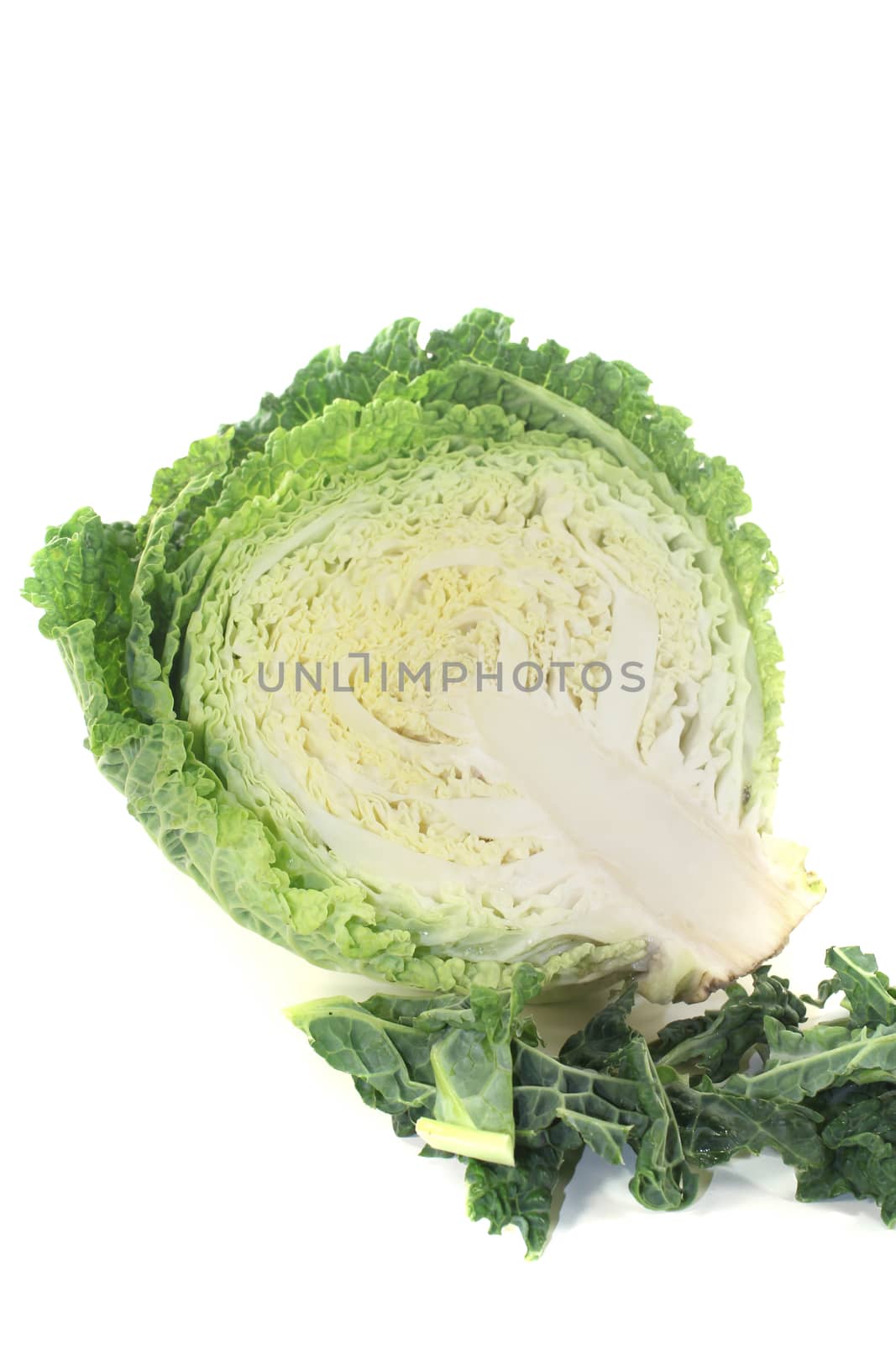 fresh savoy cabbage halve on a bright background