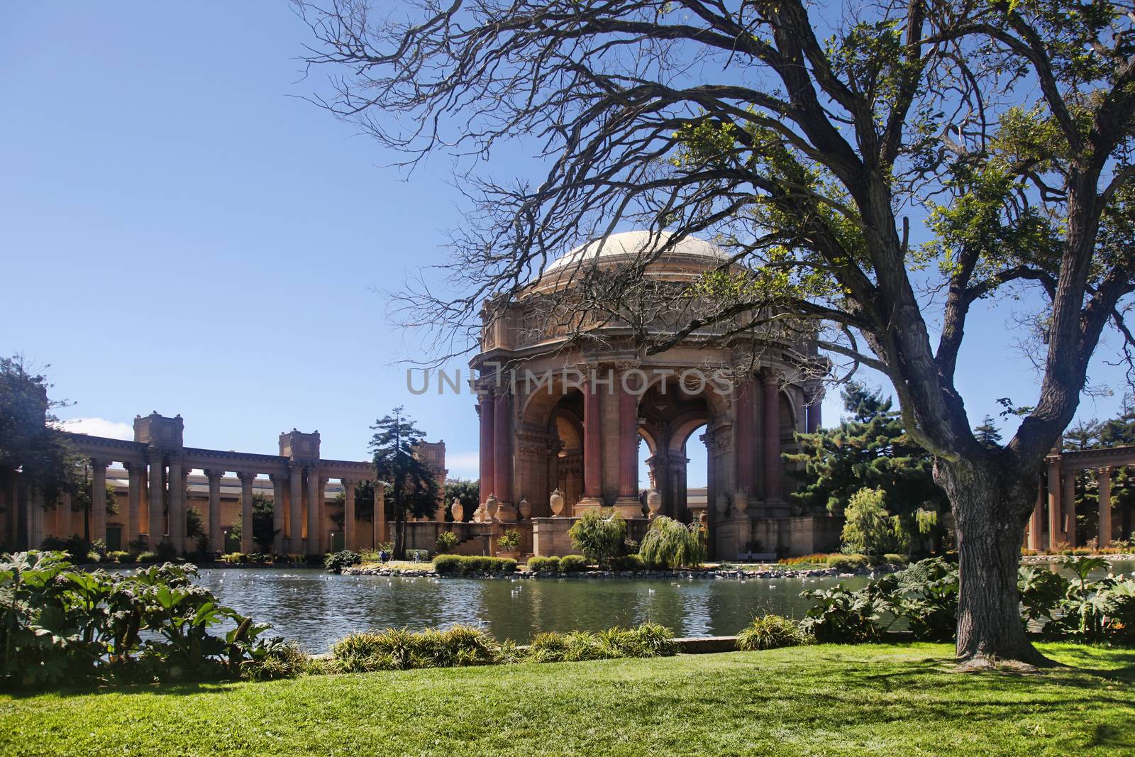Palace Of Fine Arts, Marina District in San Francisco, California. USA