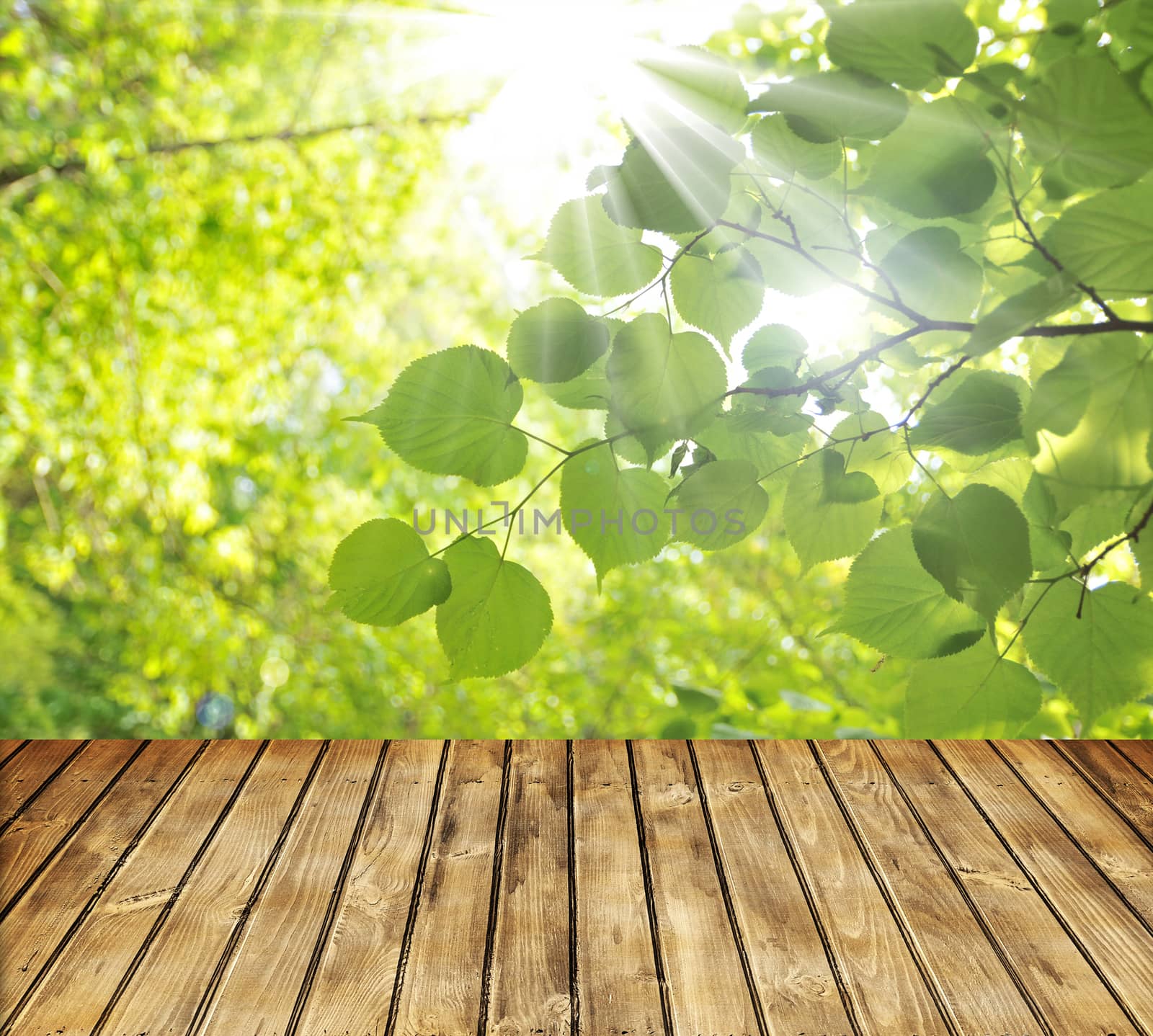 Empty wooden table and green spring leaves in background