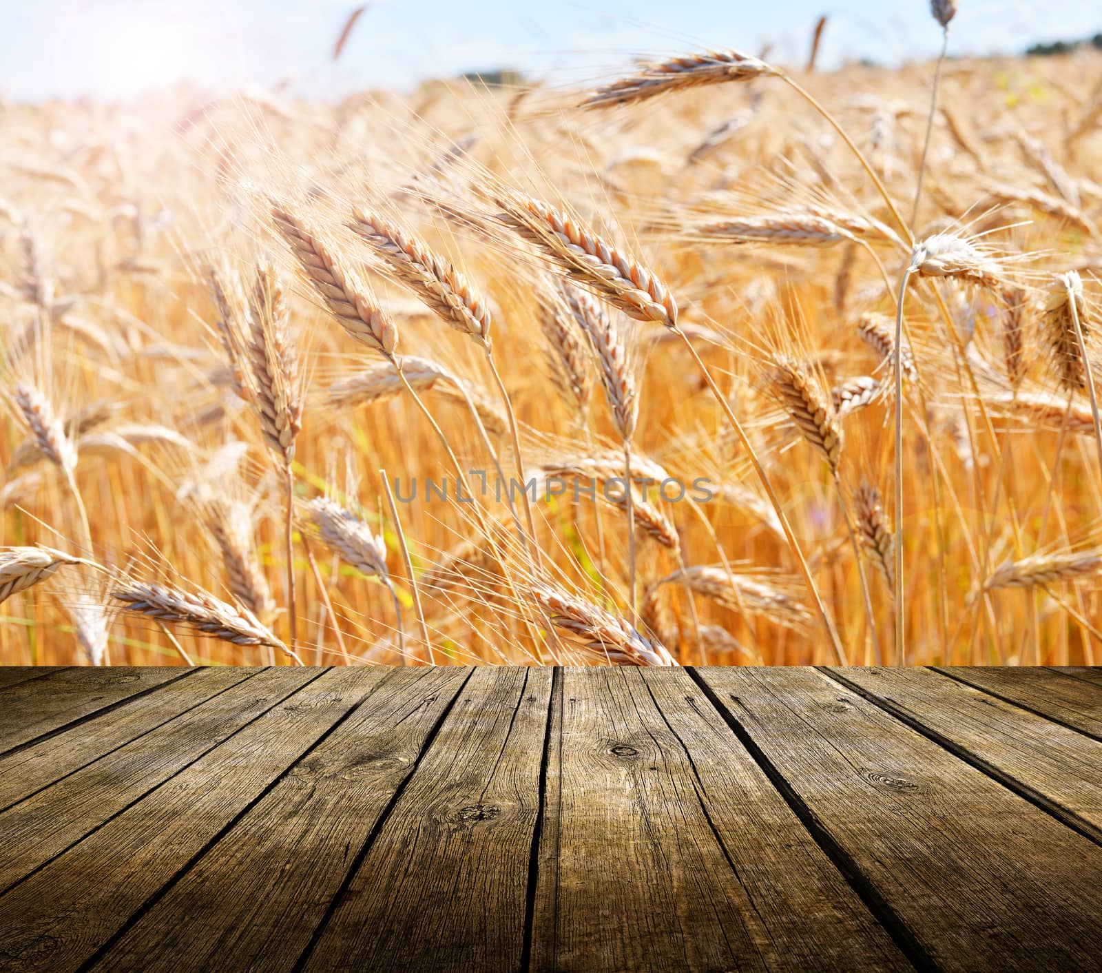 Wooden deck table rye field background