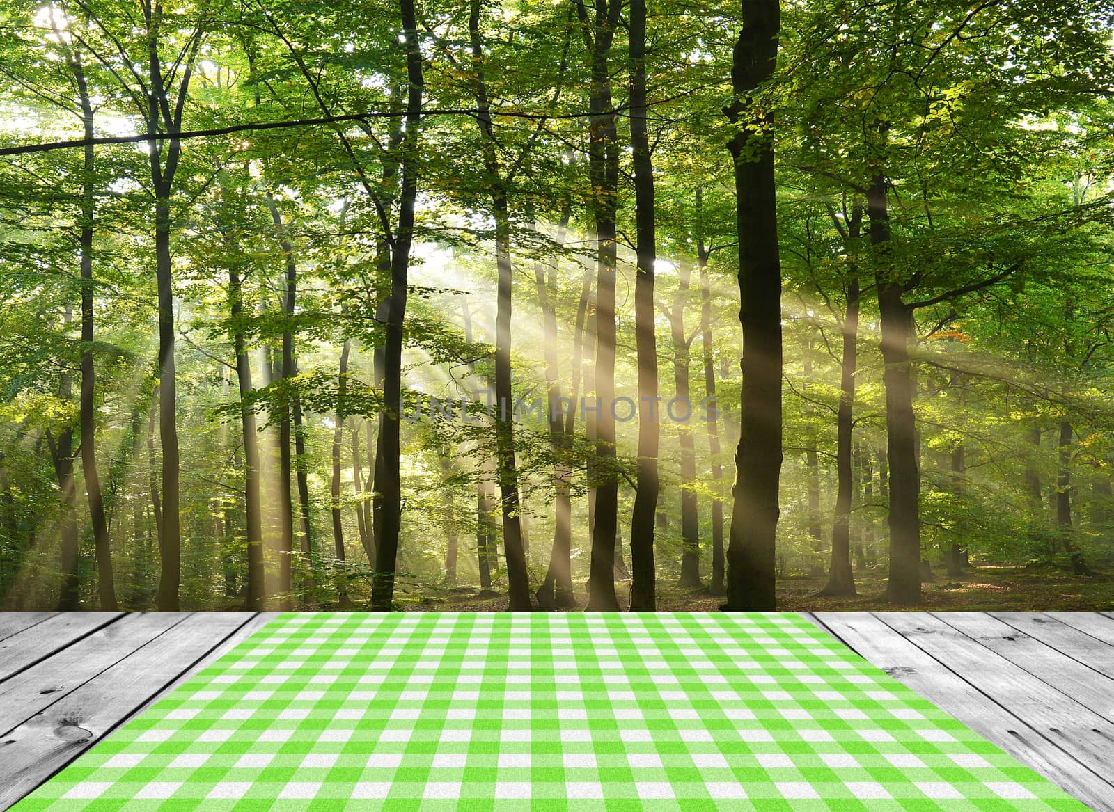 Empty wooden table and beautiful forest in background