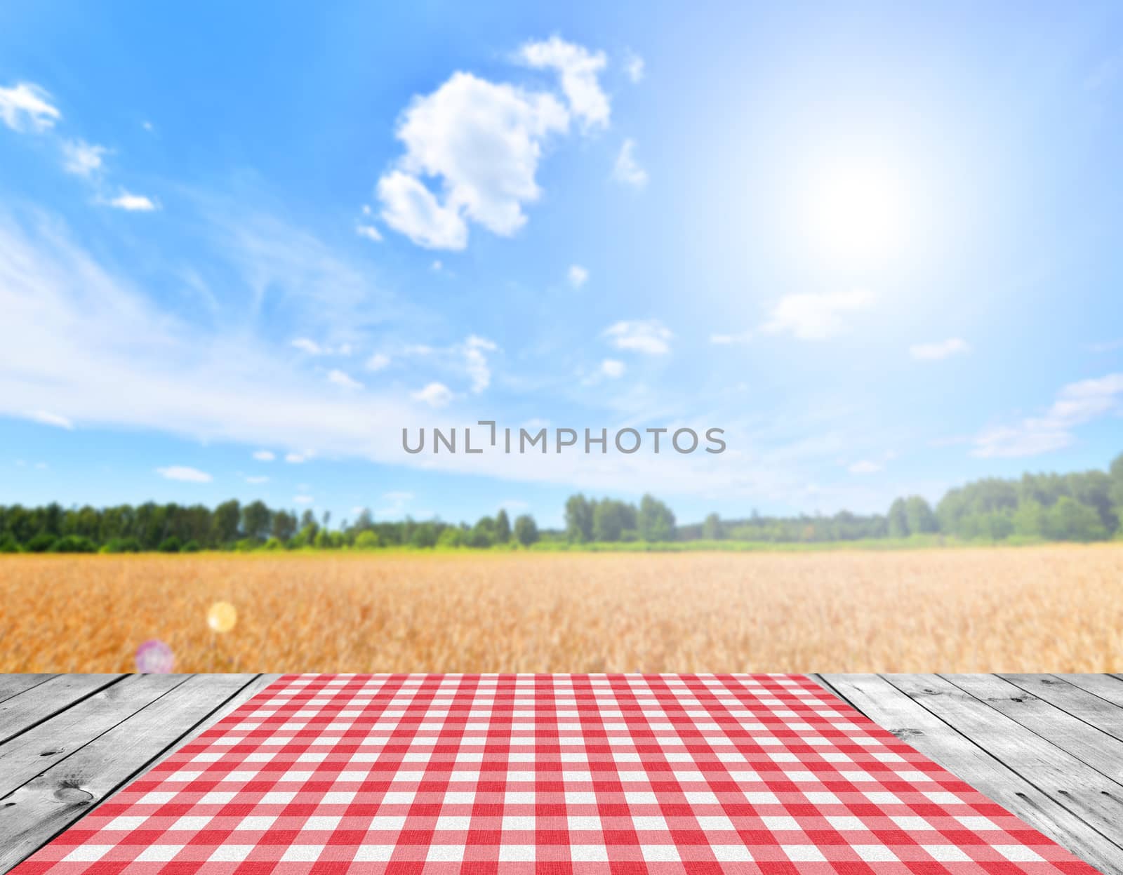 Empty wooden table and beautiful summer landscape in background