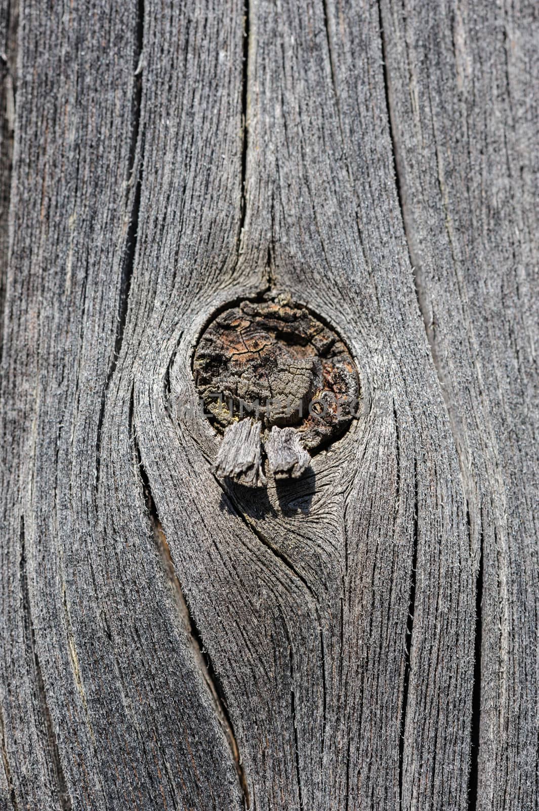 cracked aged wooden board with knot by starush