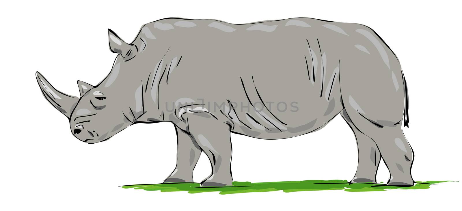 An image of a nice grey rhino